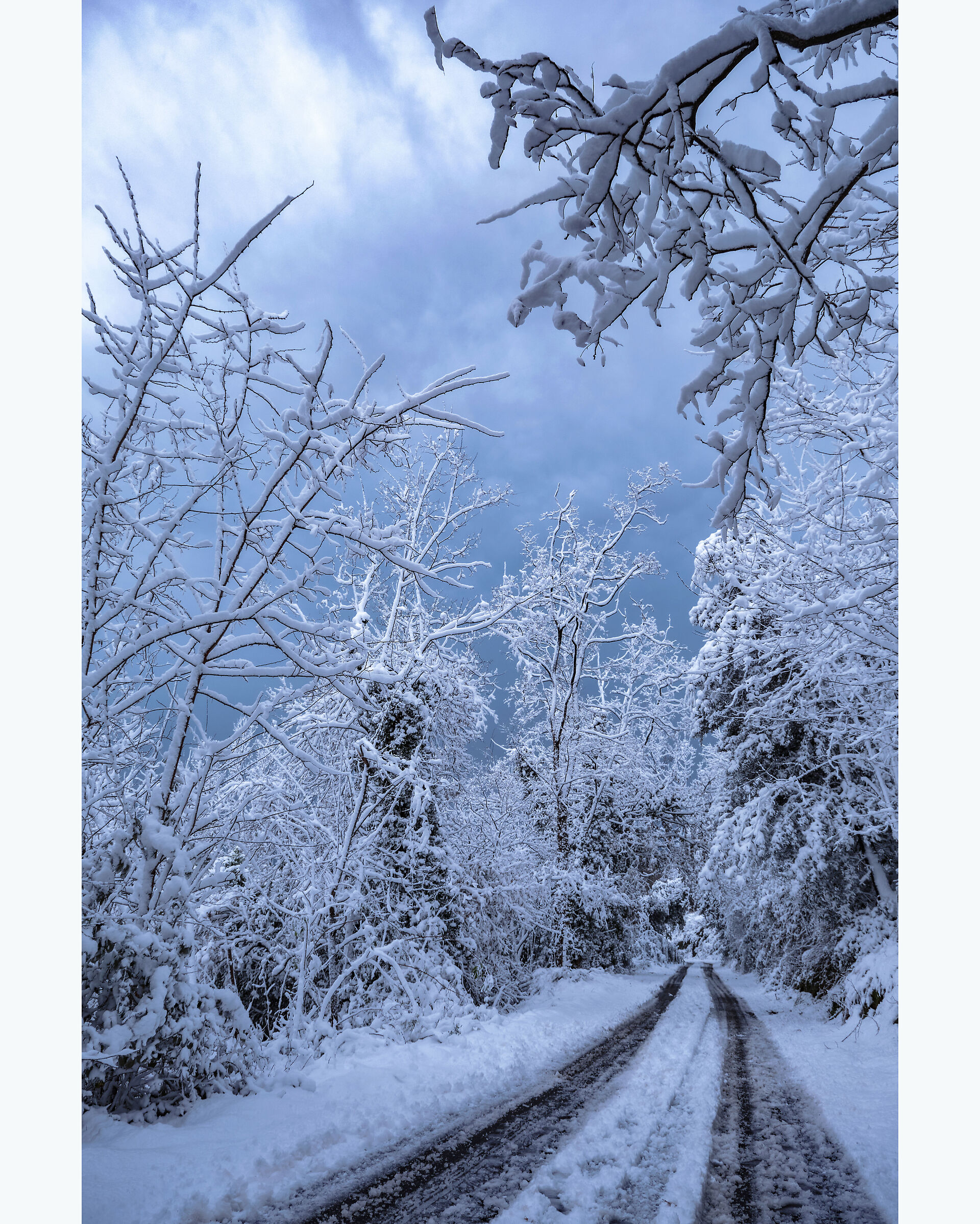 The whiteness of the snow