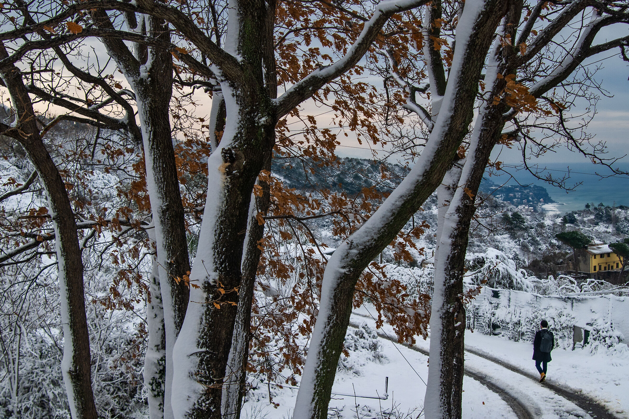 The whiteness of the snow and the sea