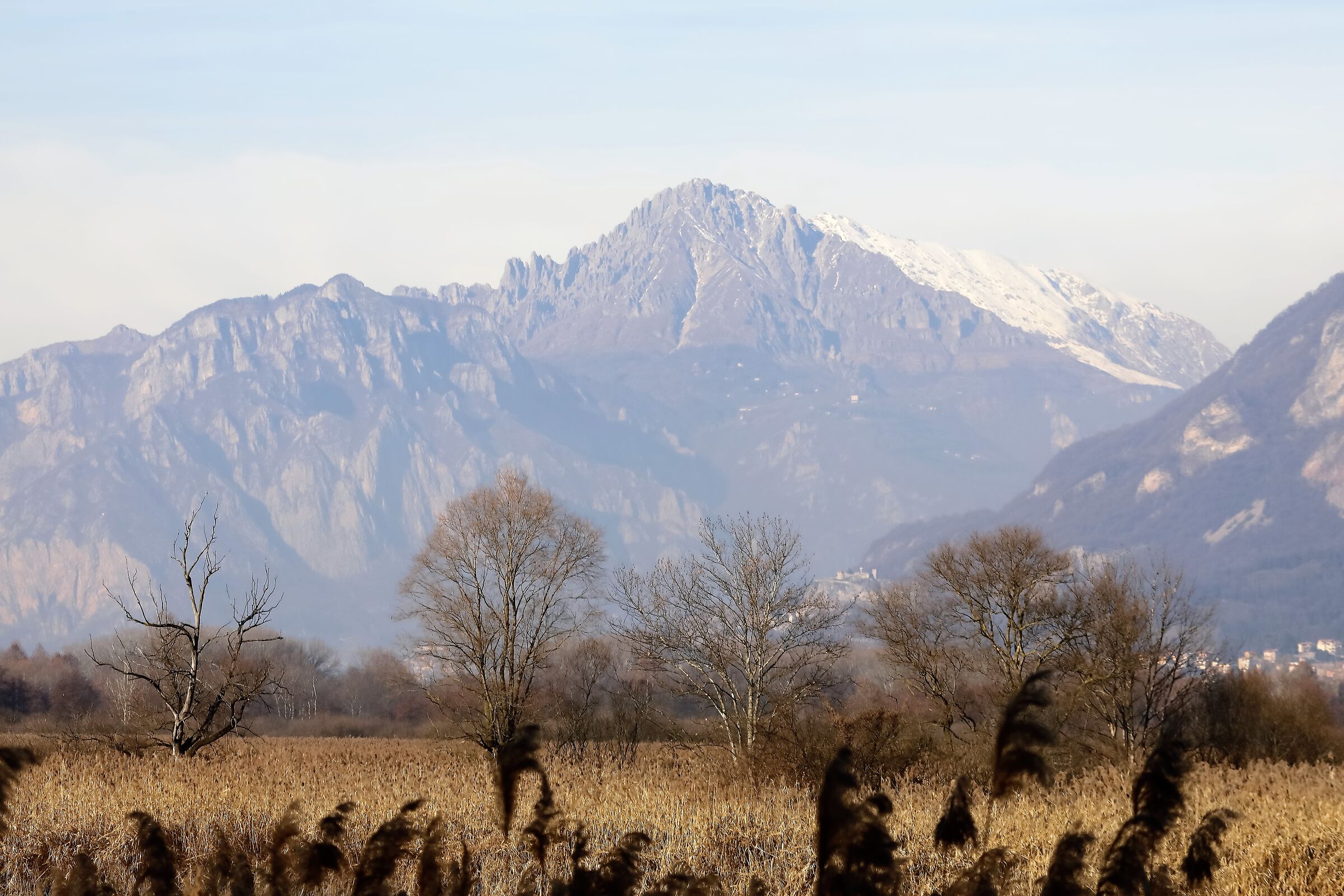 Il canneto 03-02-2023