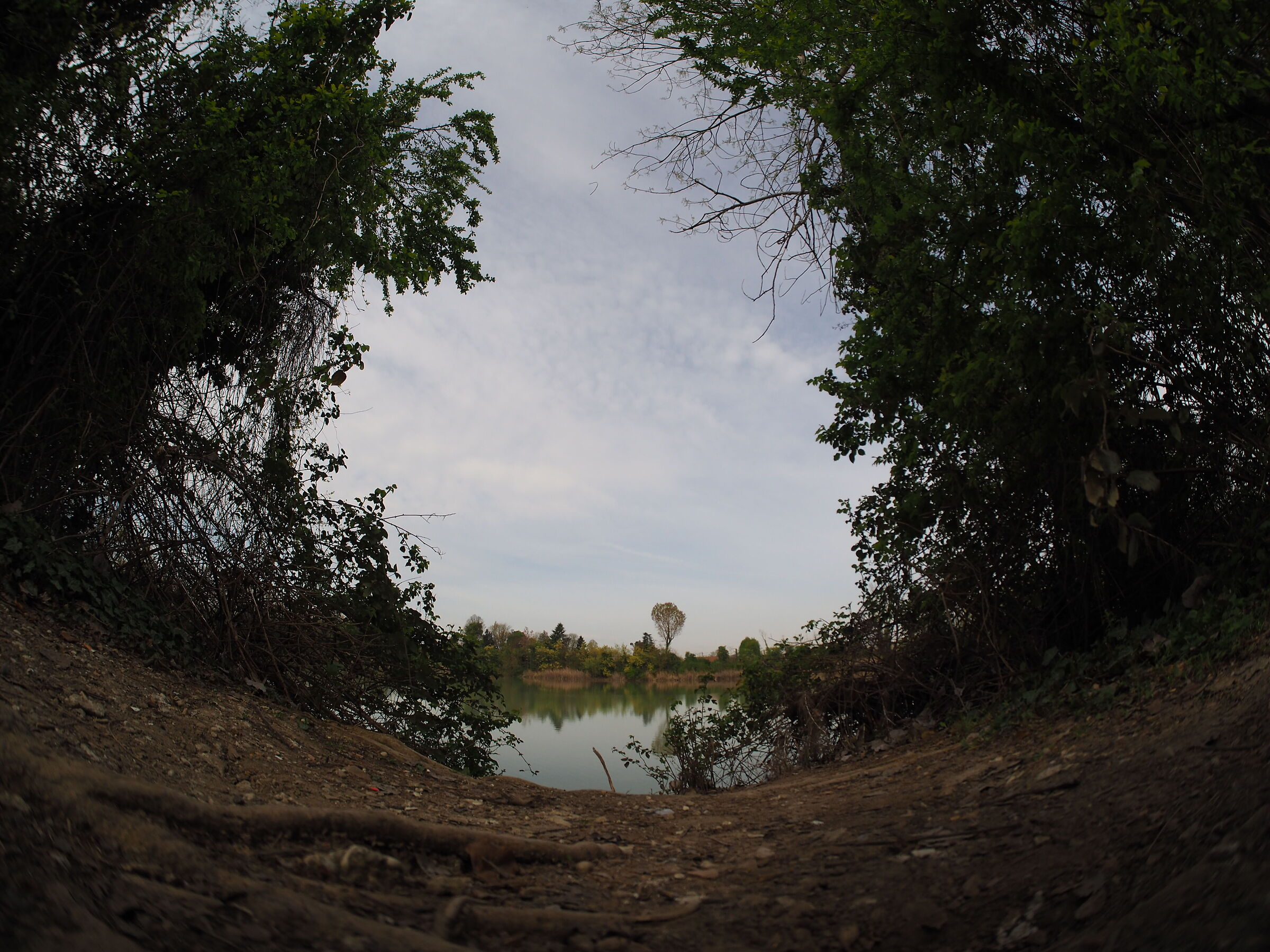 Mole perspectives