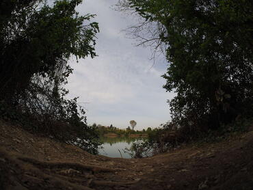 Distorsioni