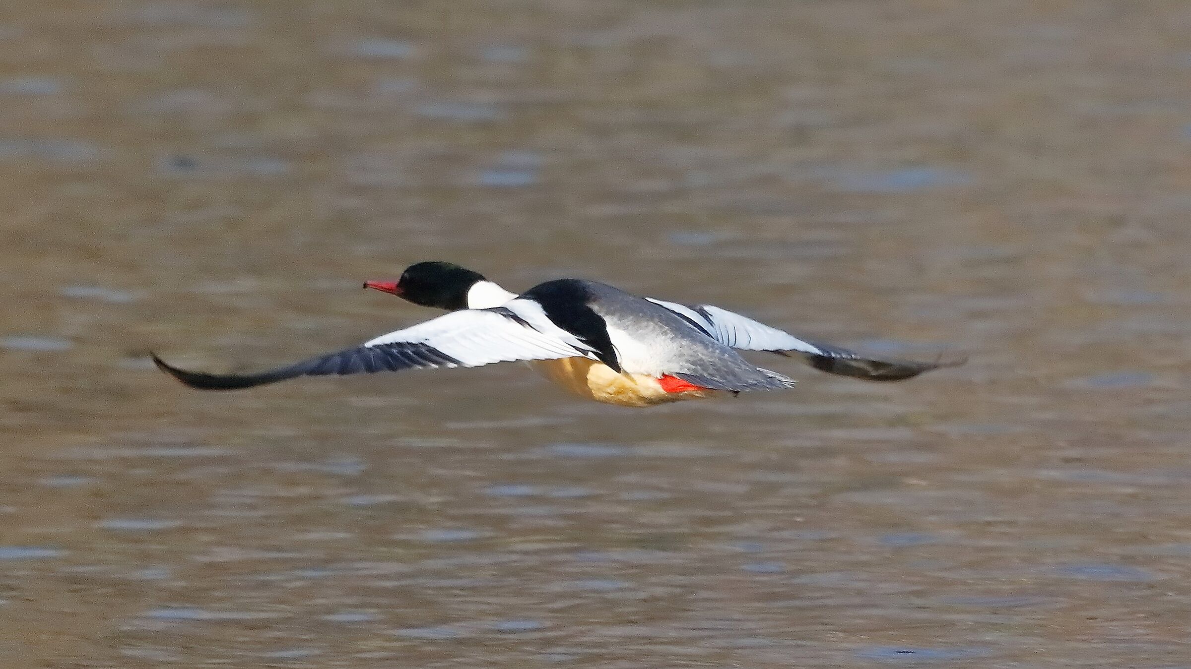 smergo M 17 febbraio 2023