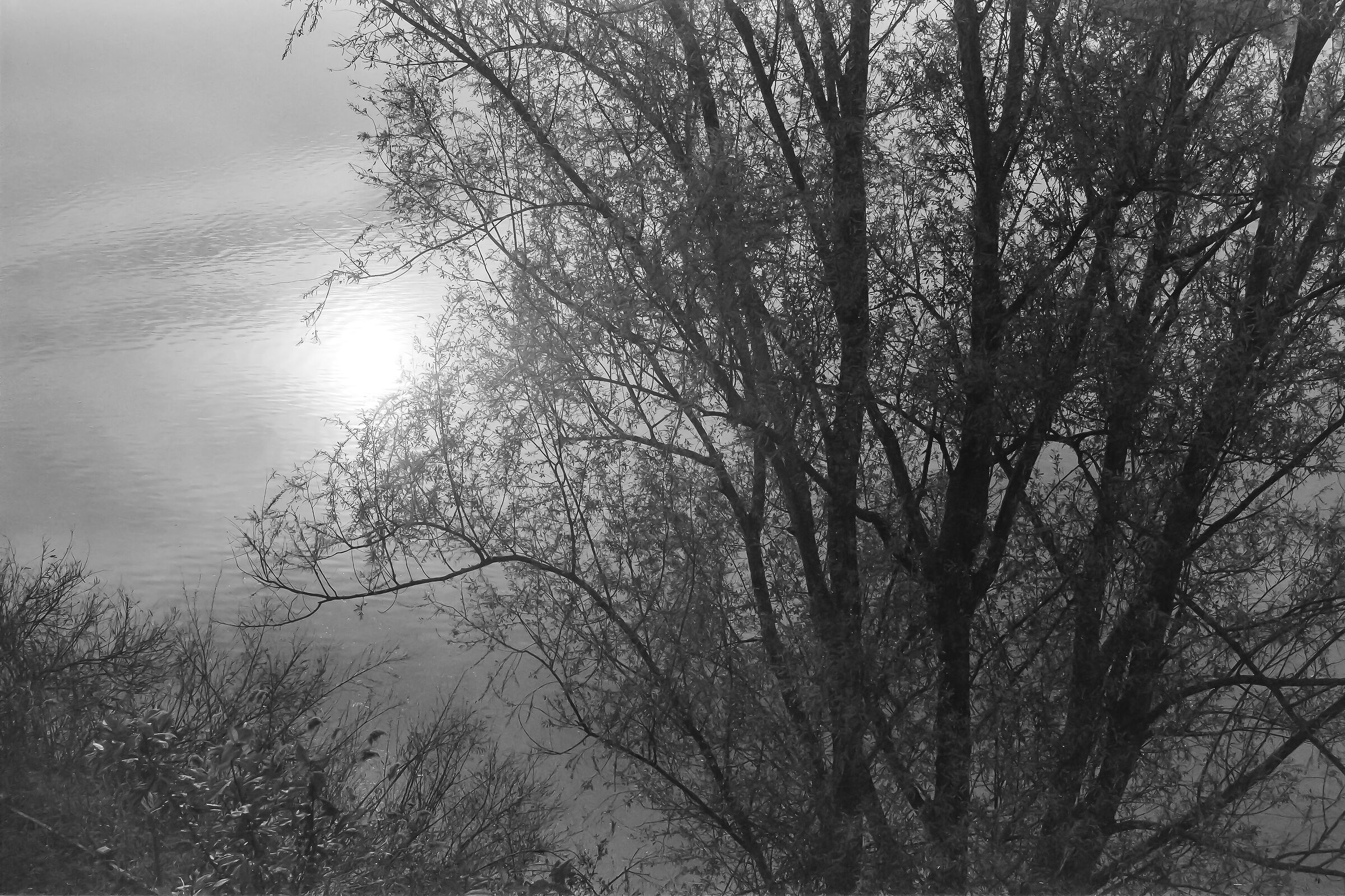 Riflessi