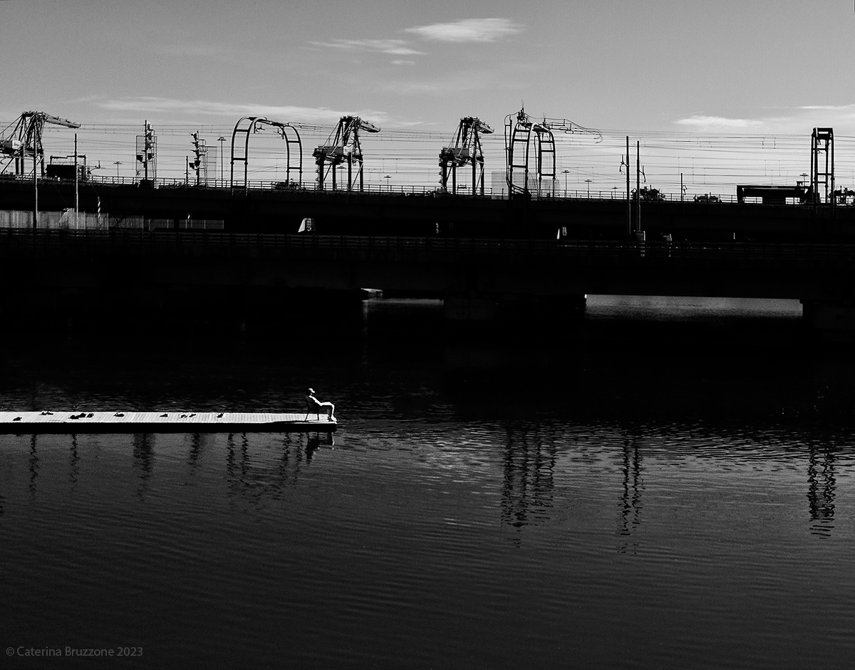 Sviluppo insostenibile