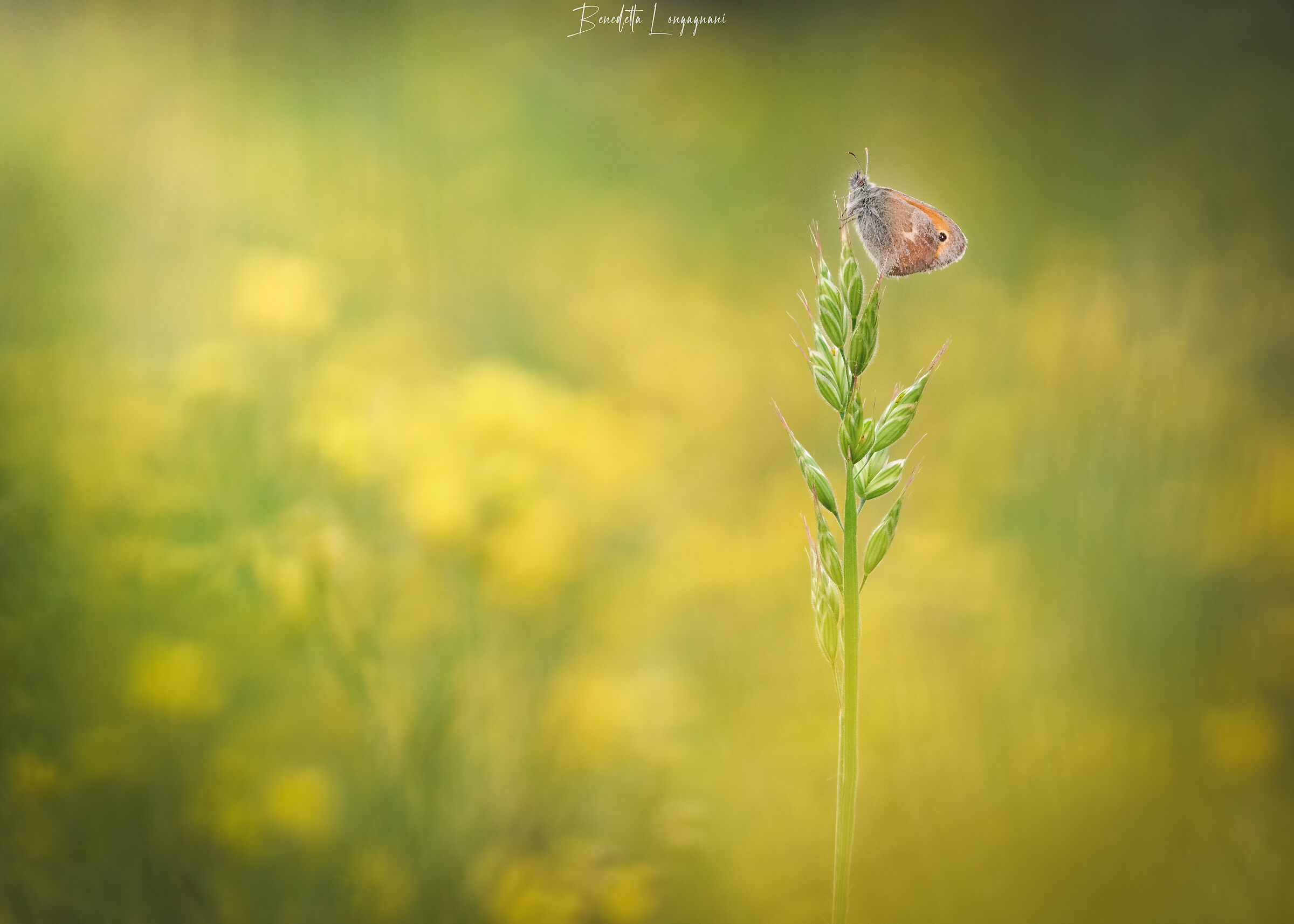 The magic of the morning