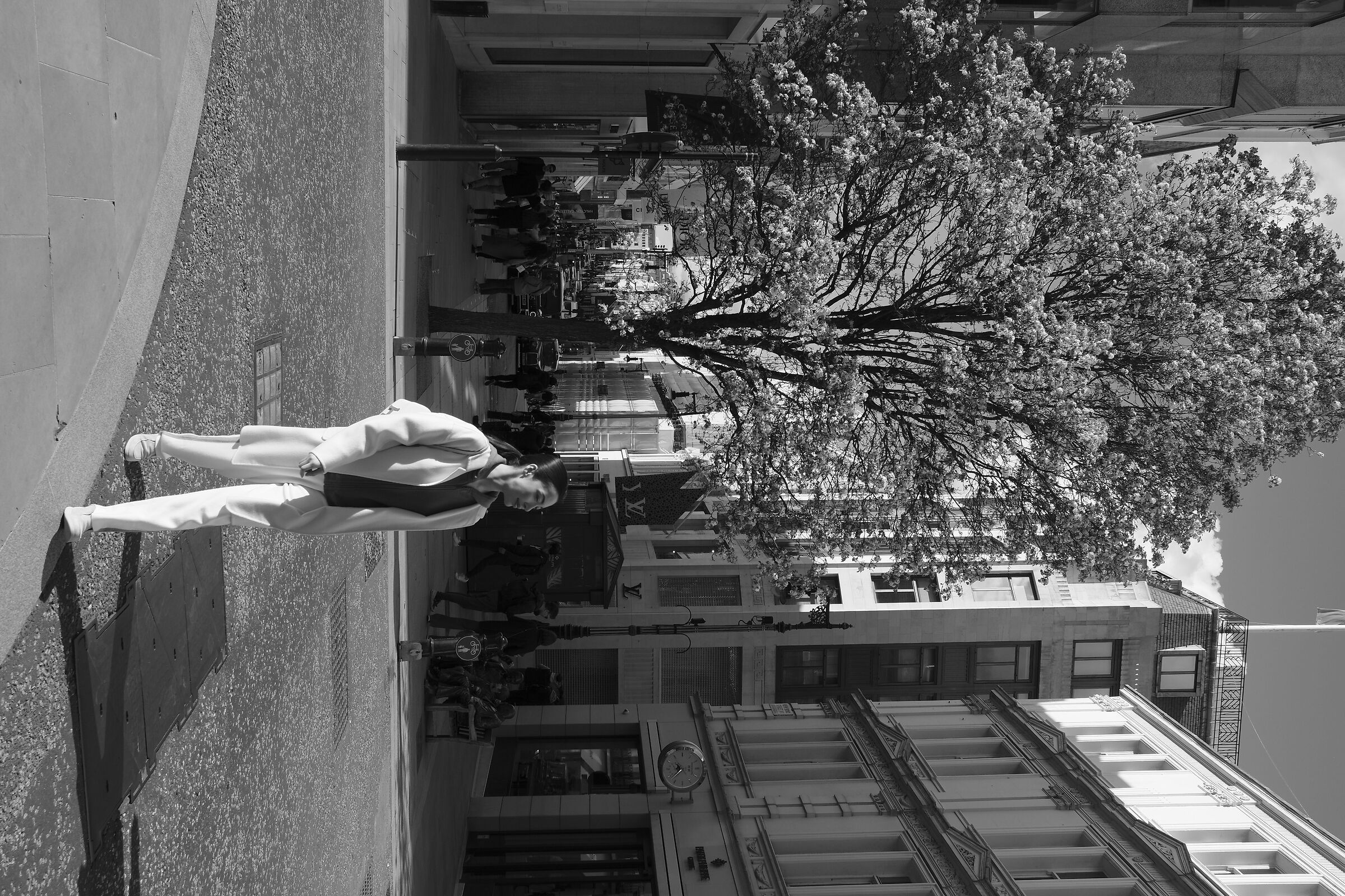 White lady