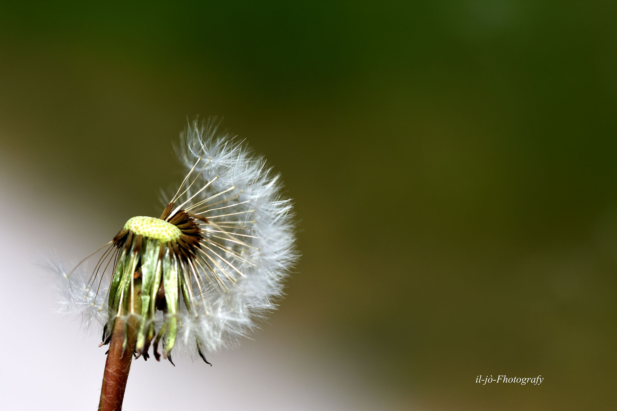 Untitled Photo