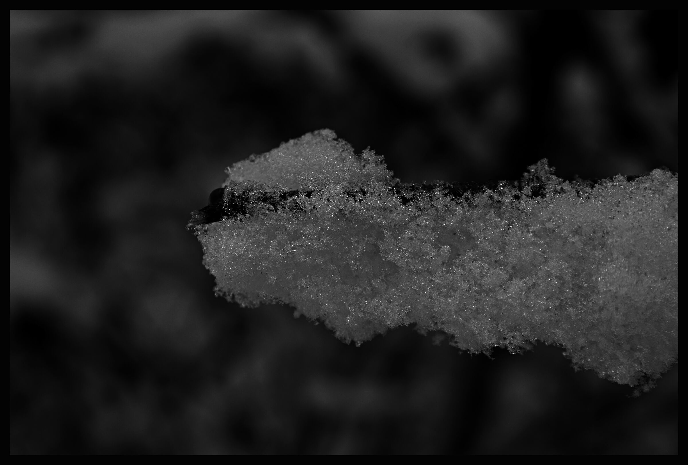 Spring frost