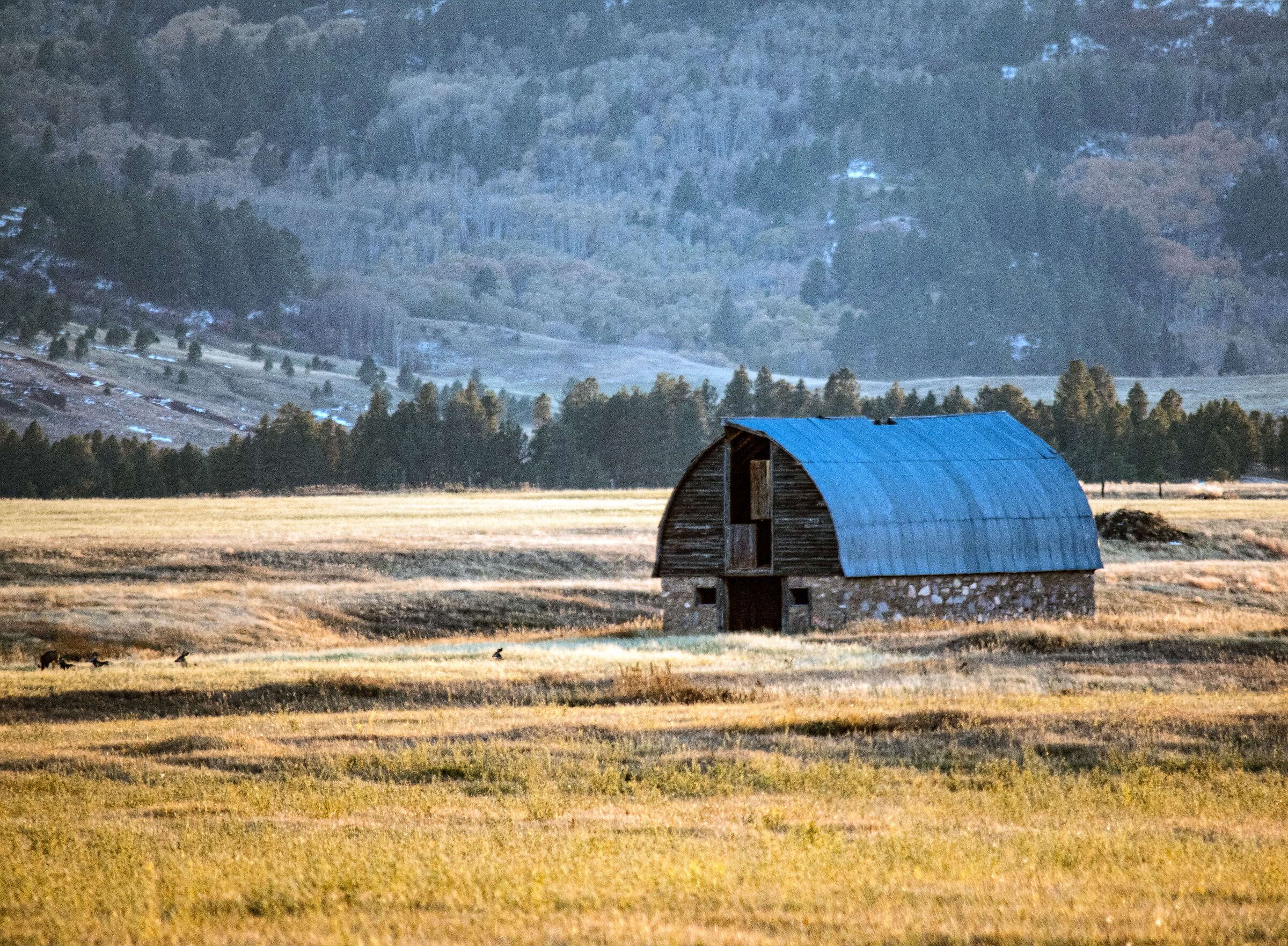 South Dakota Prairie with Barn
