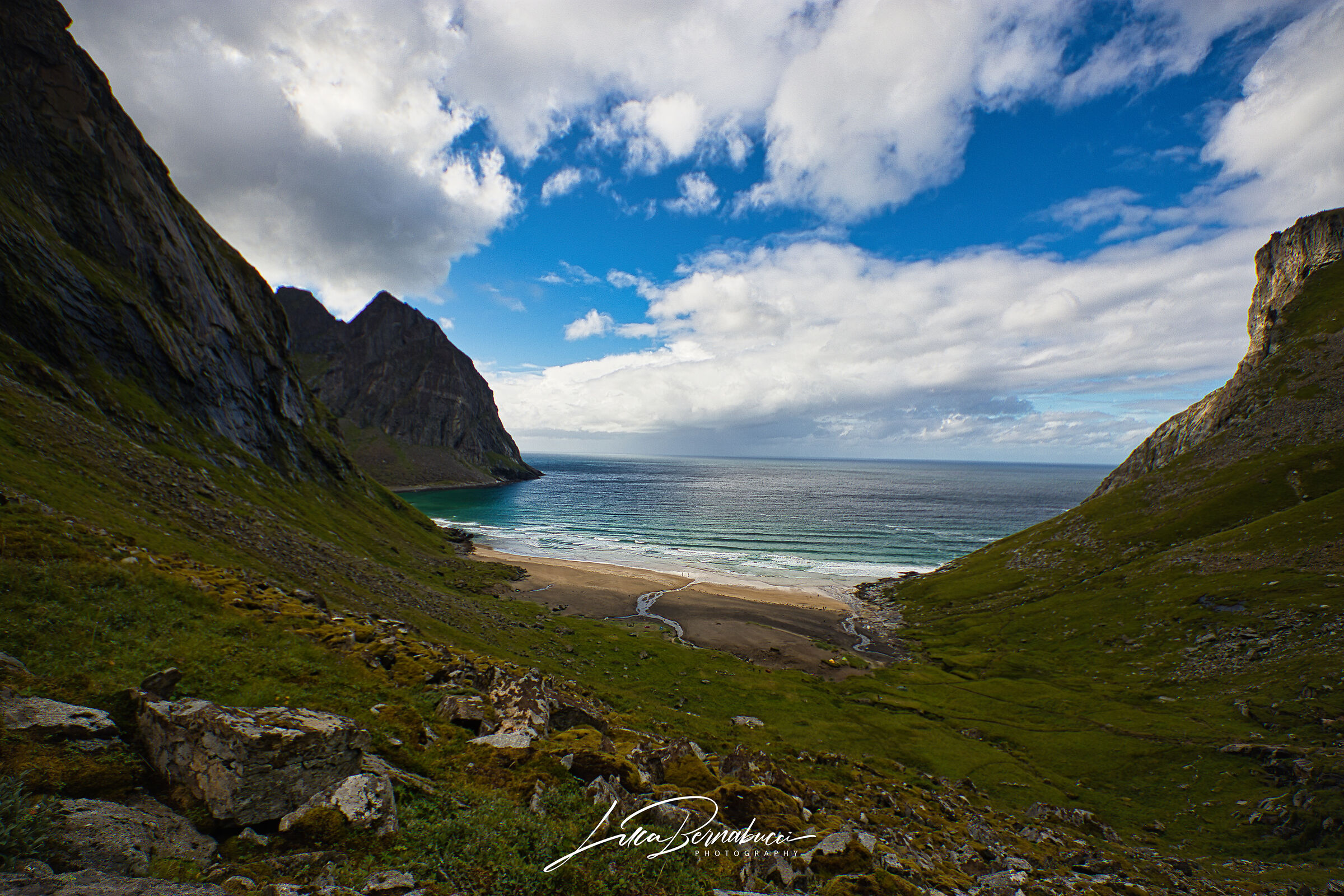 moss, sand, ocean, lofoten