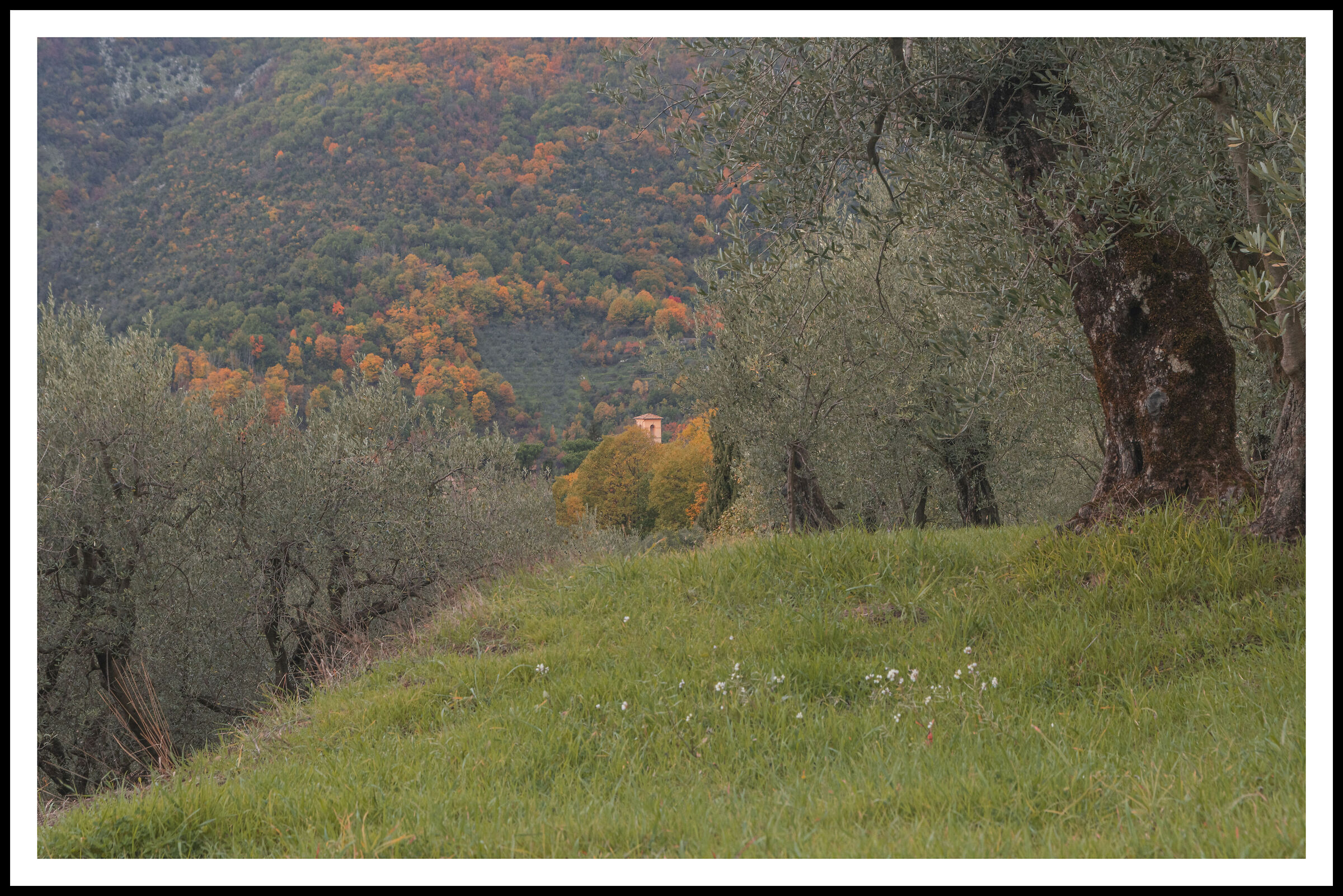 Walking near the house