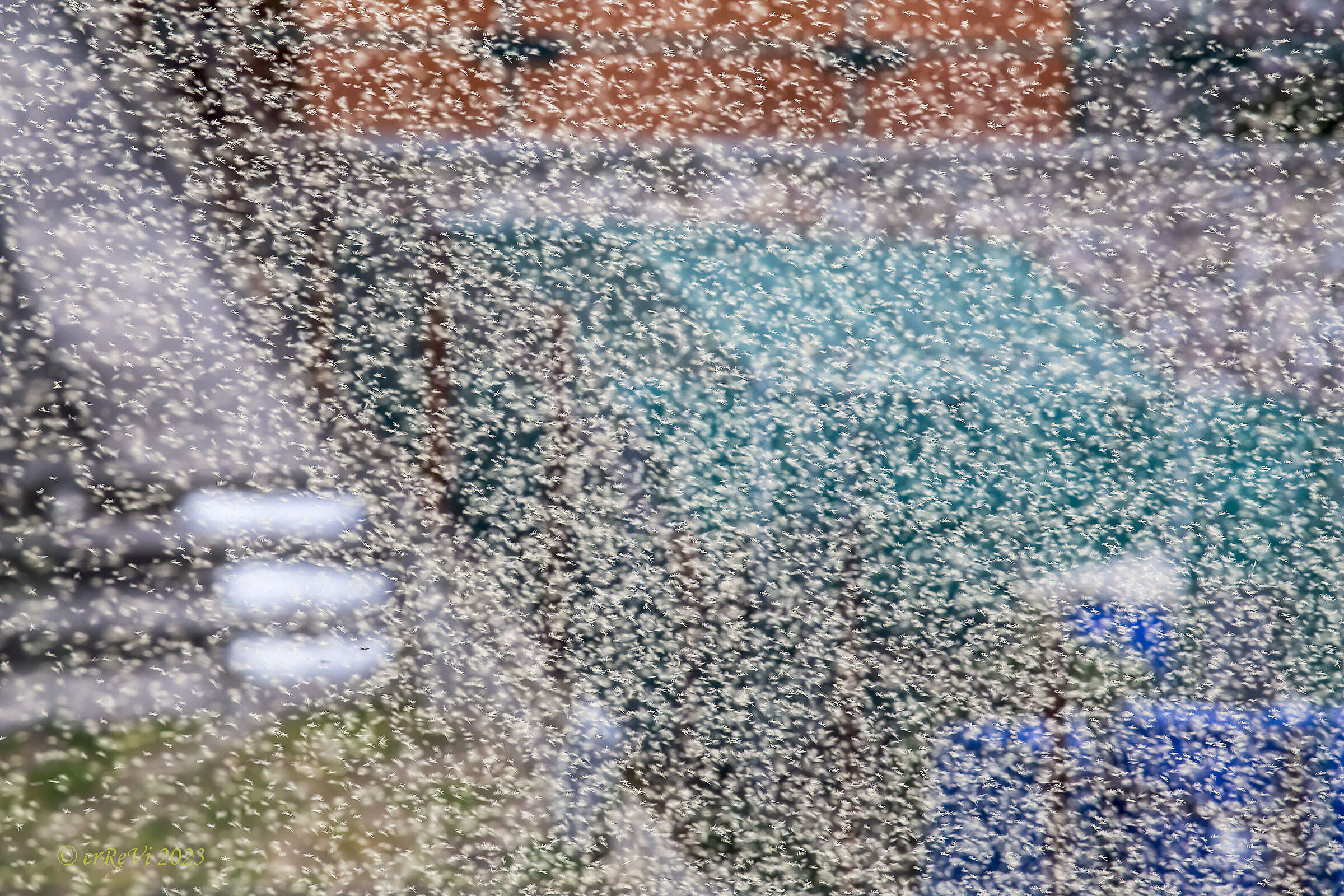 Missing one in focus