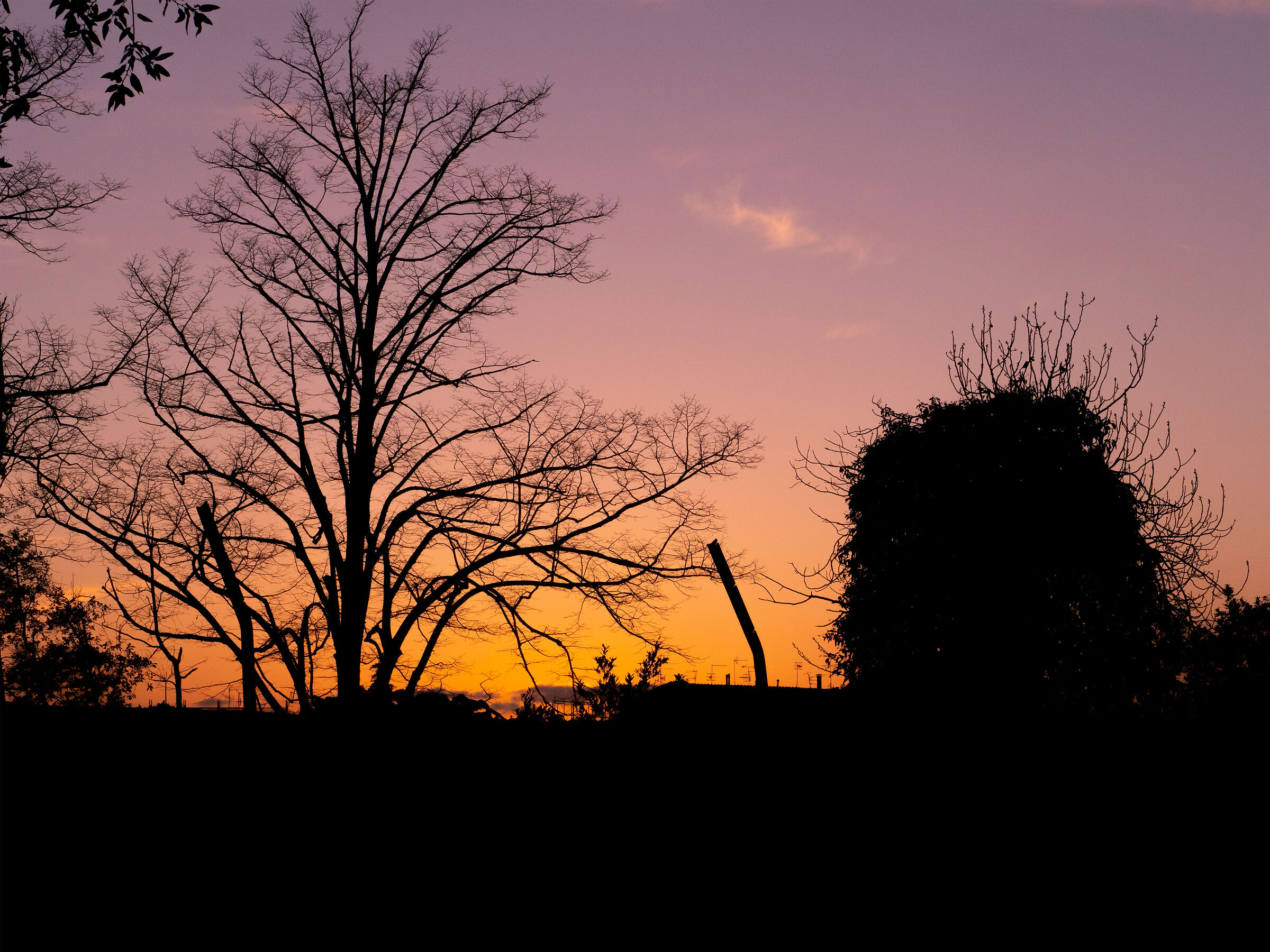 Post-Sunset Warmness