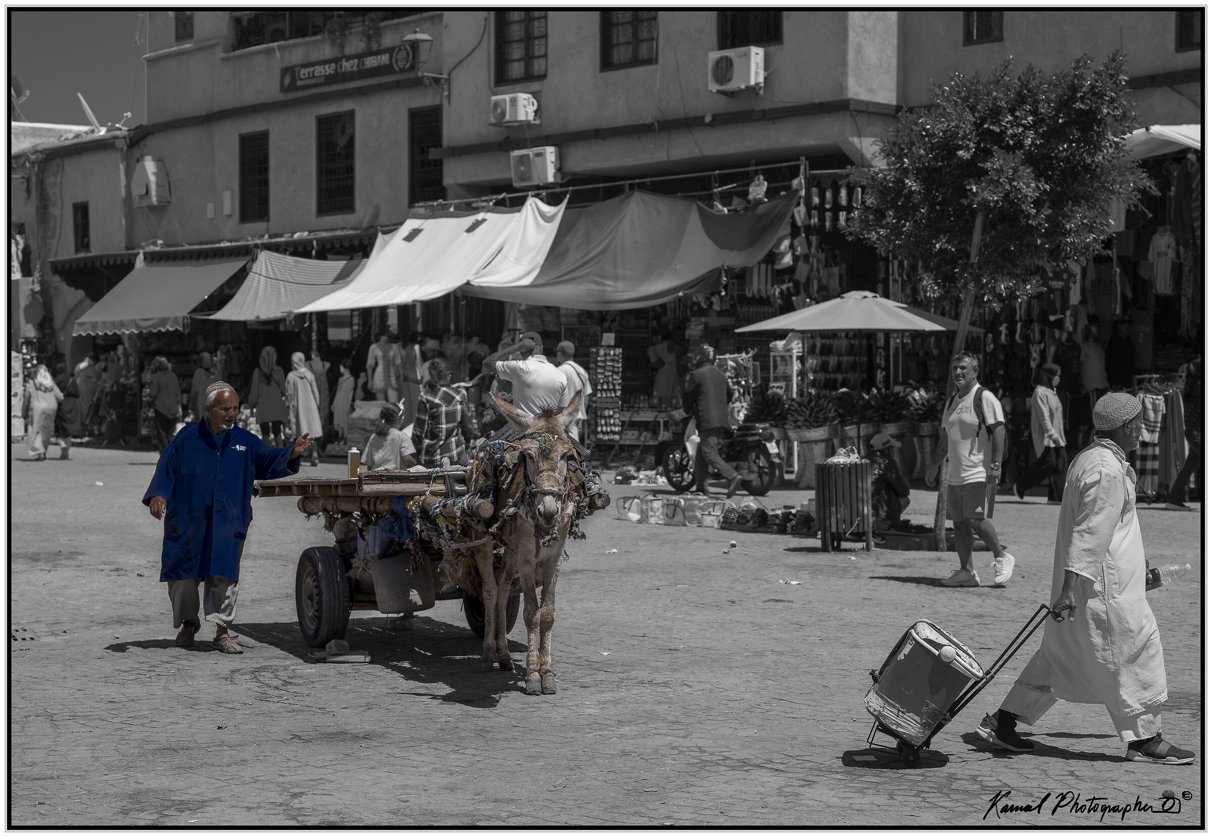 On the streets of Marrakech