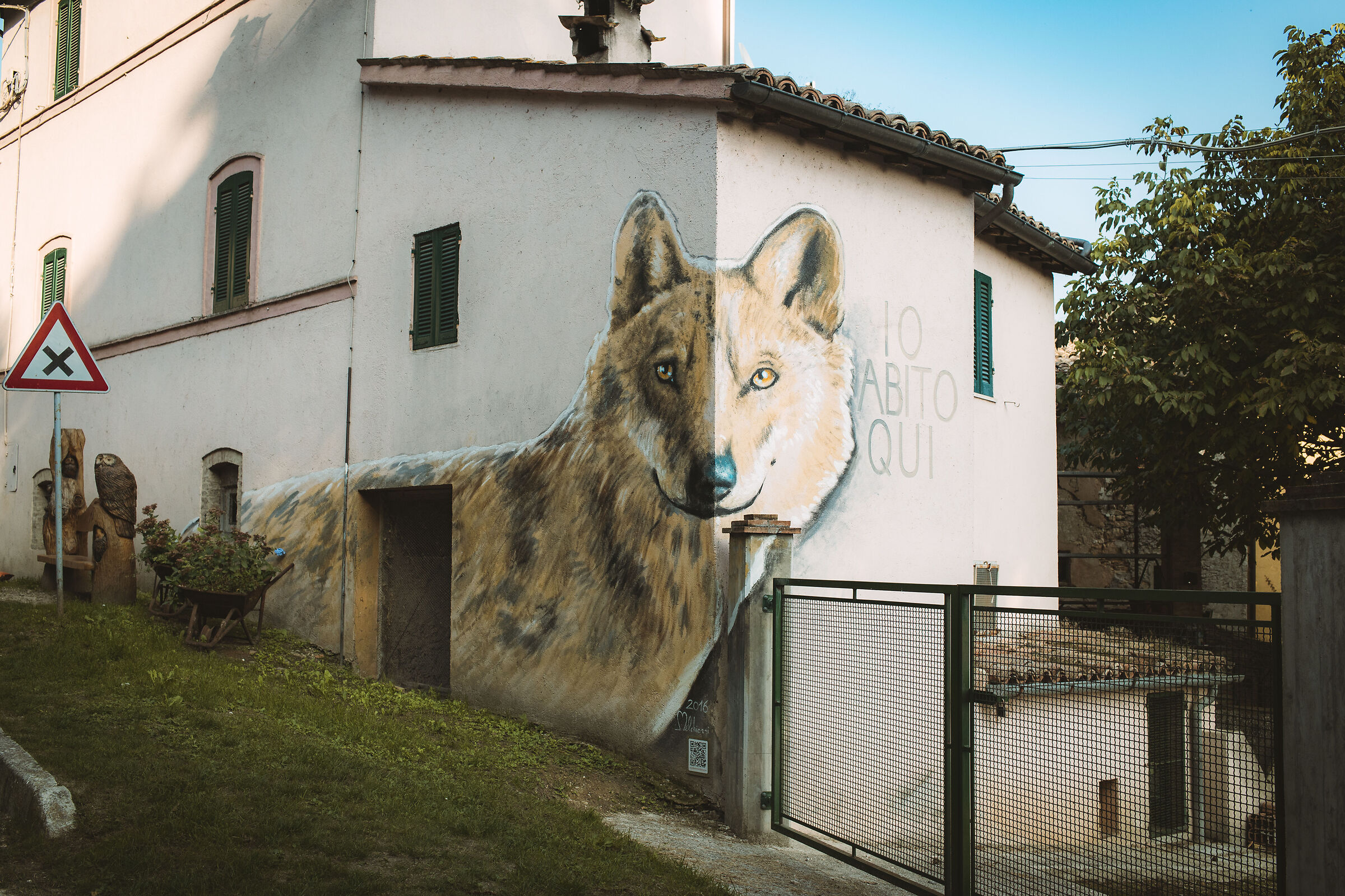 The wolf