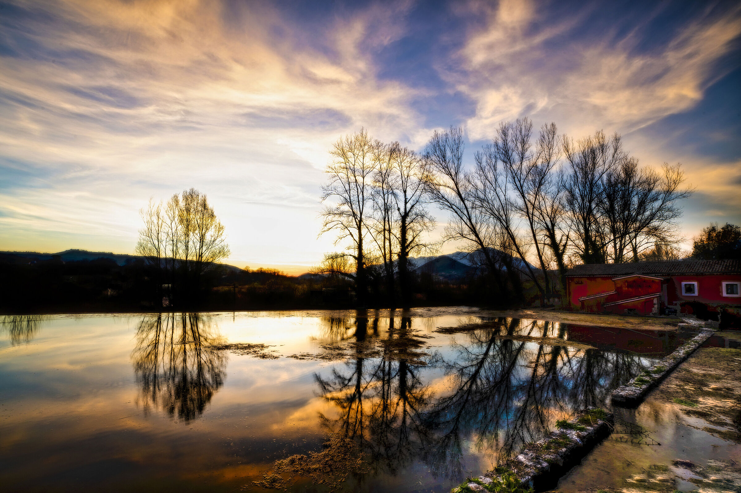 Last winter reflections