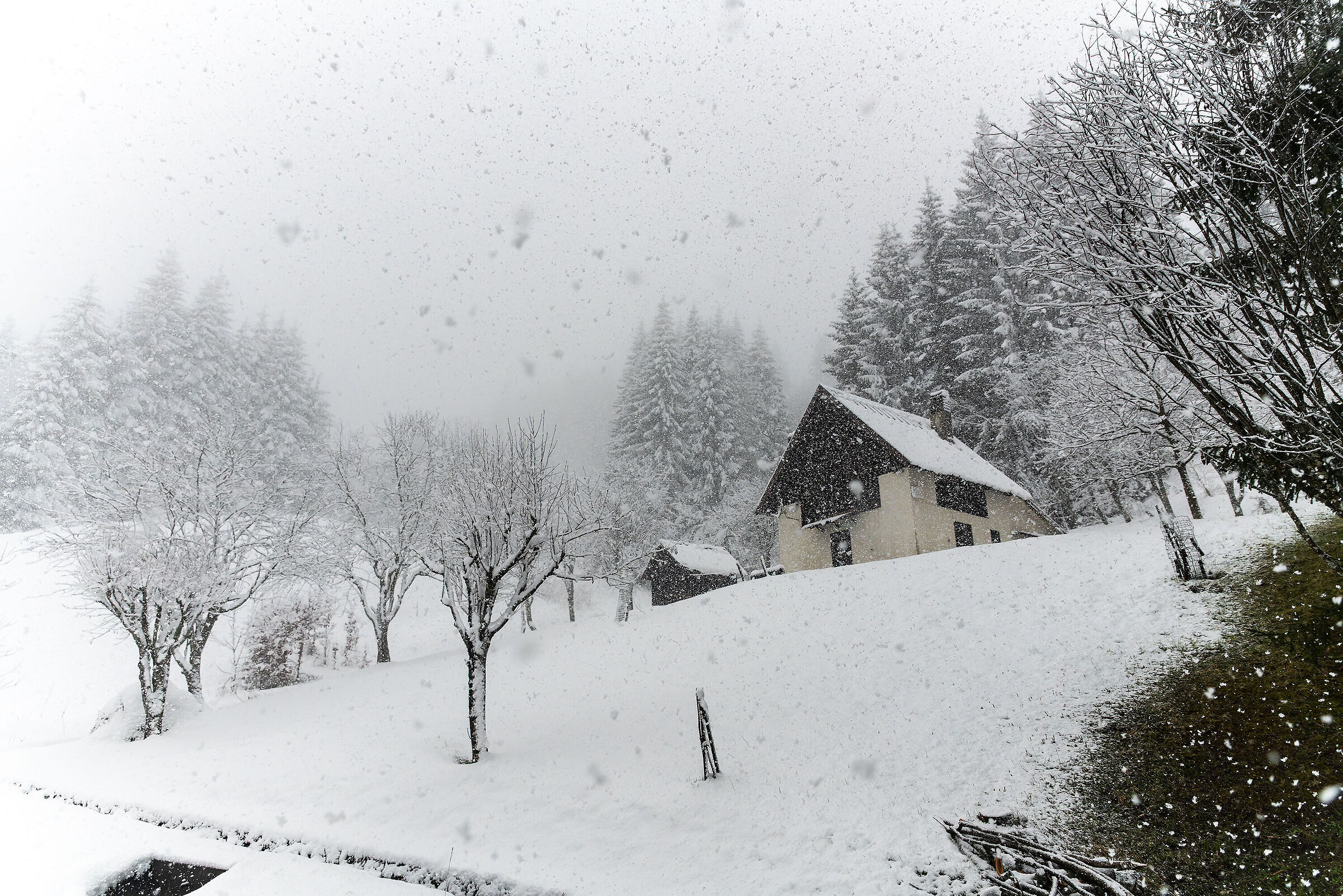 Nevicata primaverile , 13 aprile 2023