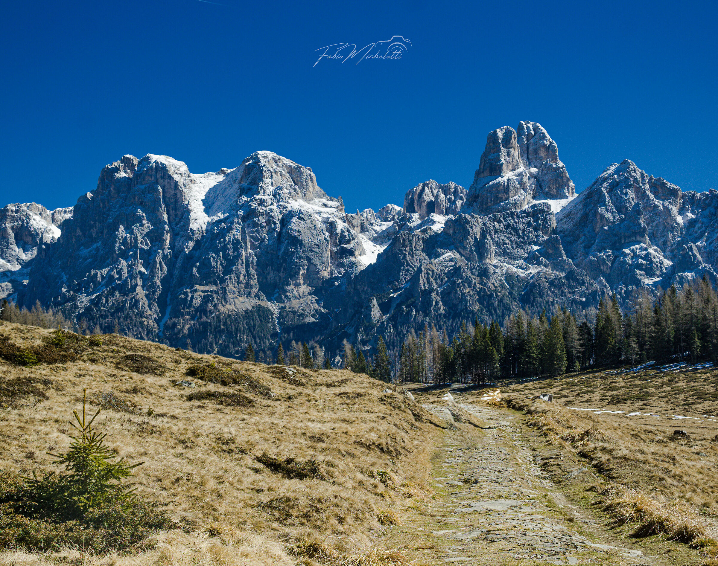 Dolomiti