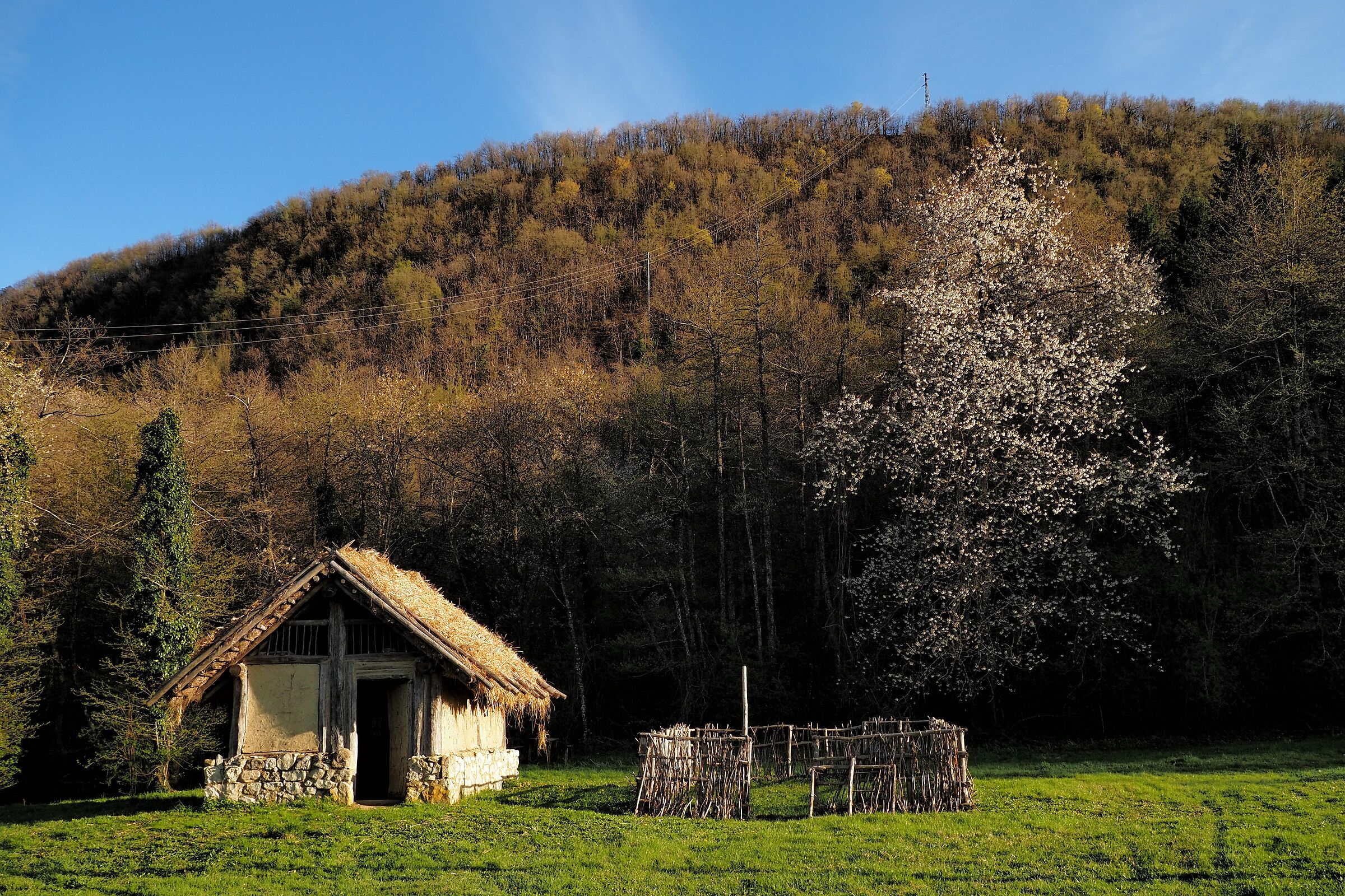 Reconstruction of the Etruscan hut near Montese di Modena