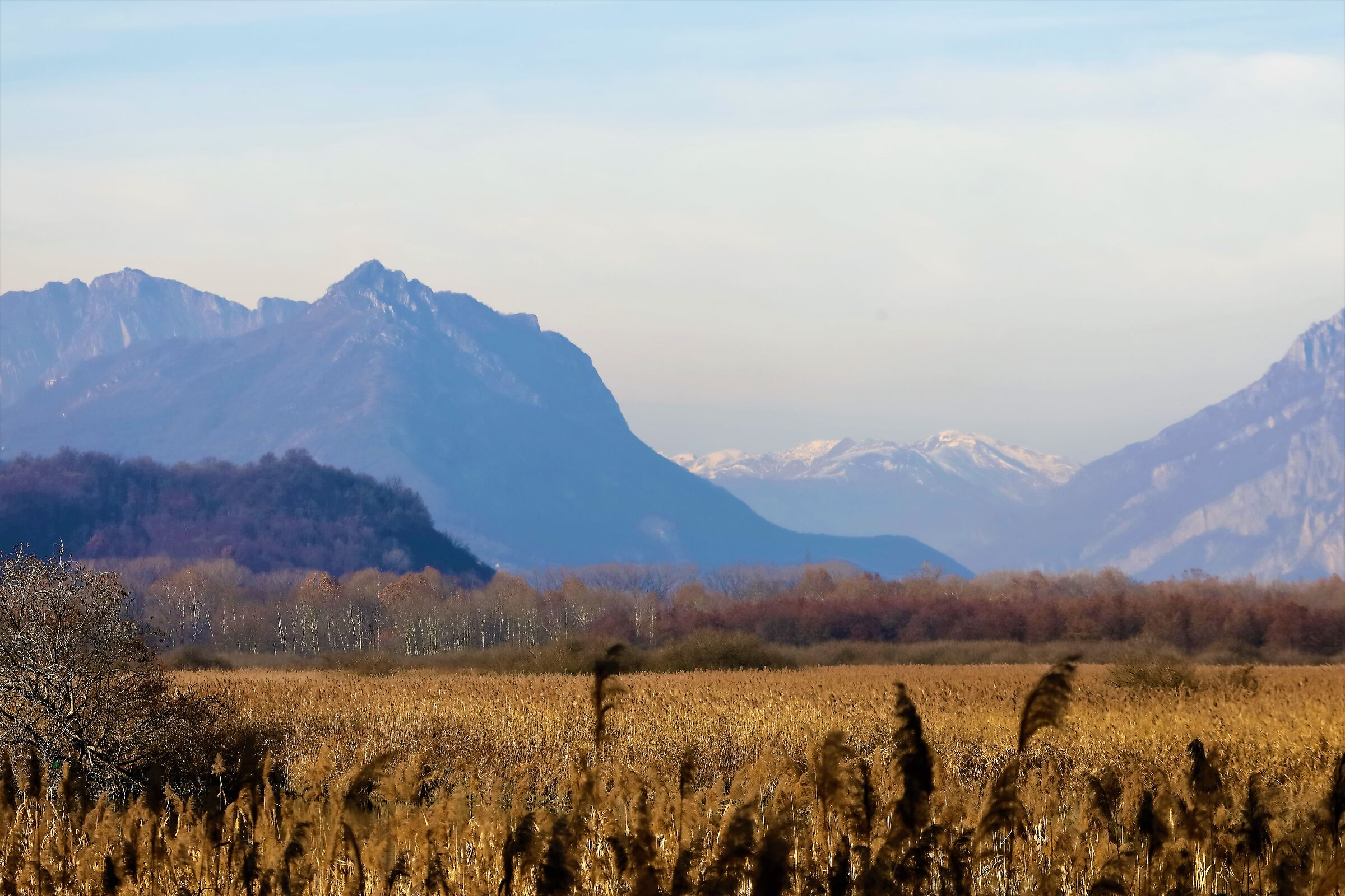 La palude 03-02-2023