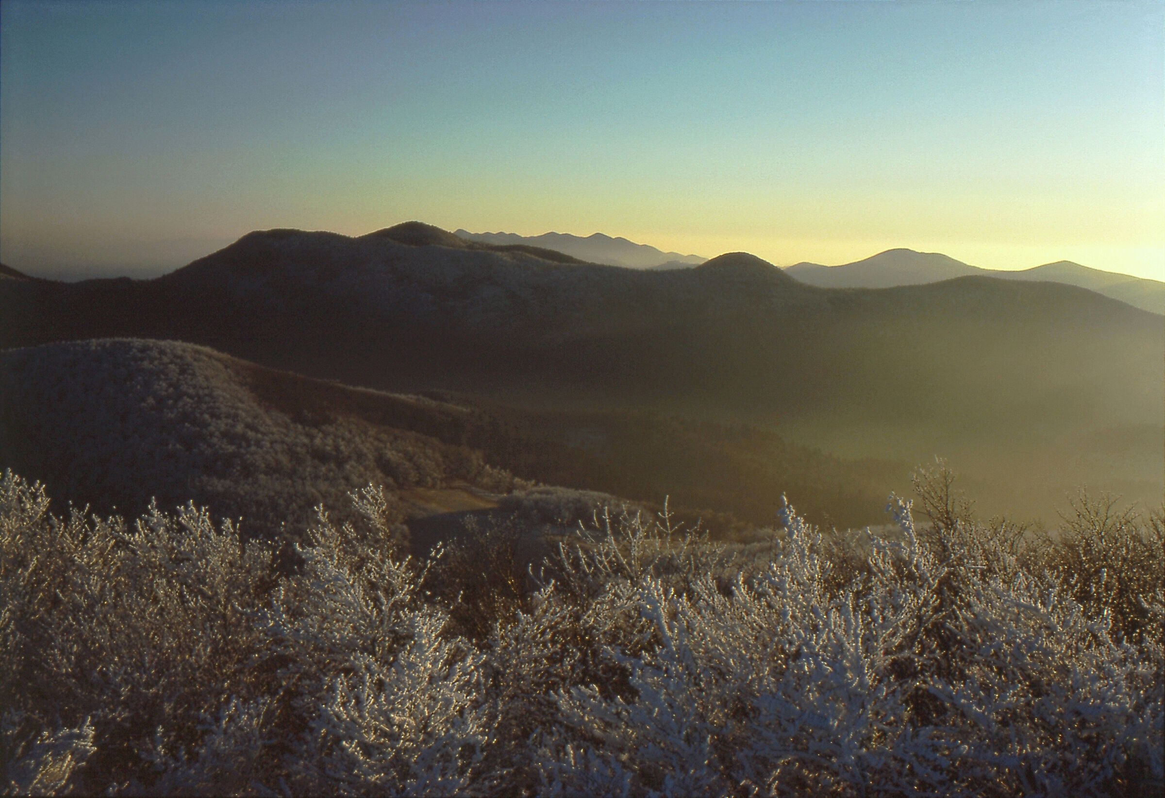Selva di Piro (Hrusica)
