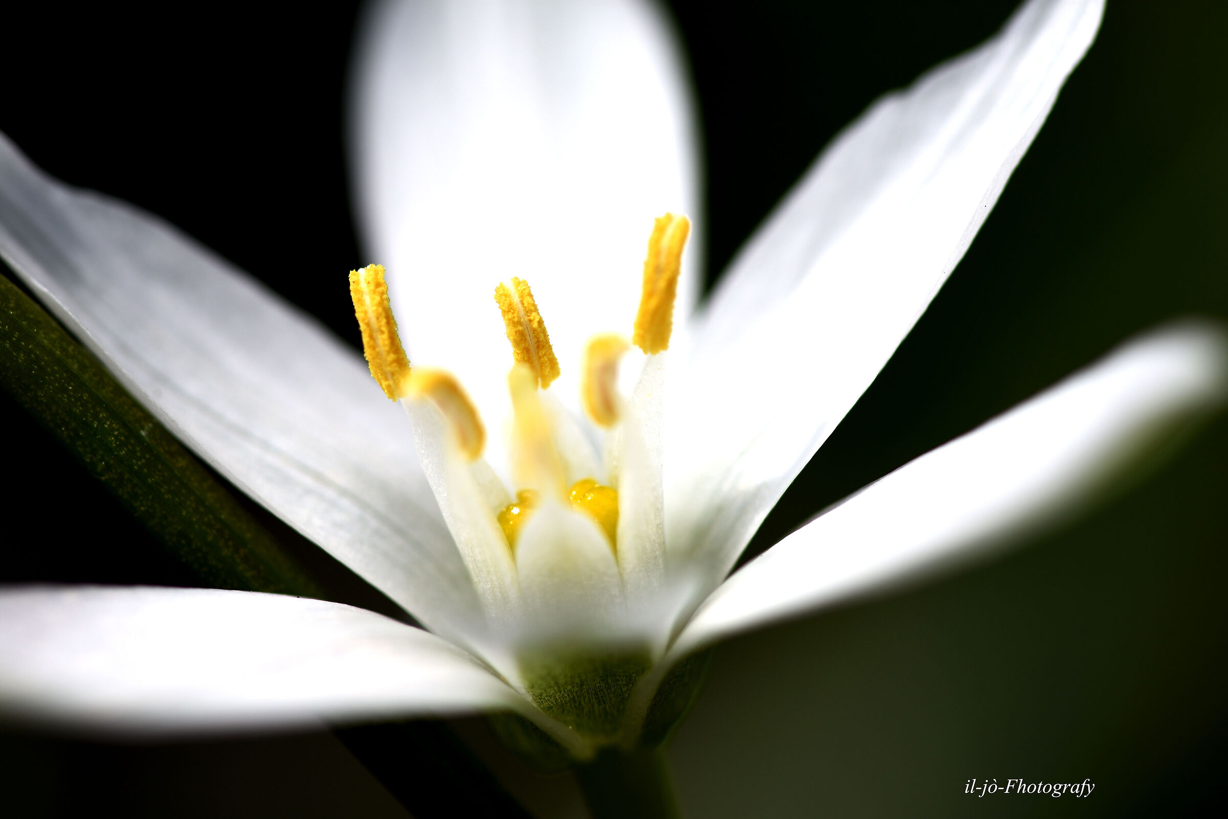 Untitled Photo