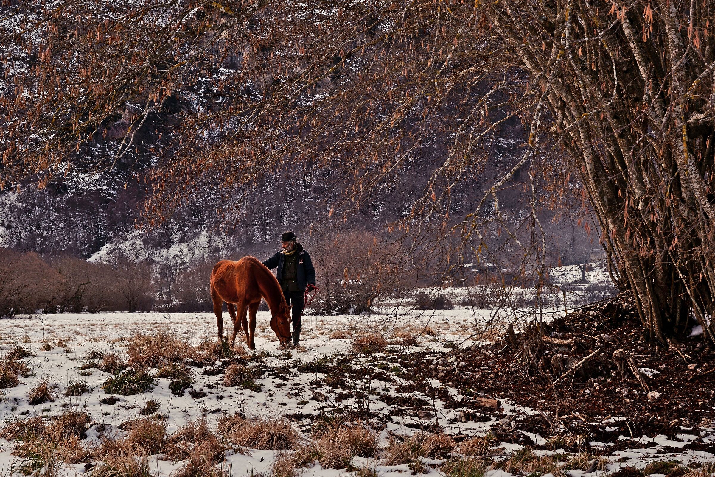 Wild Lands