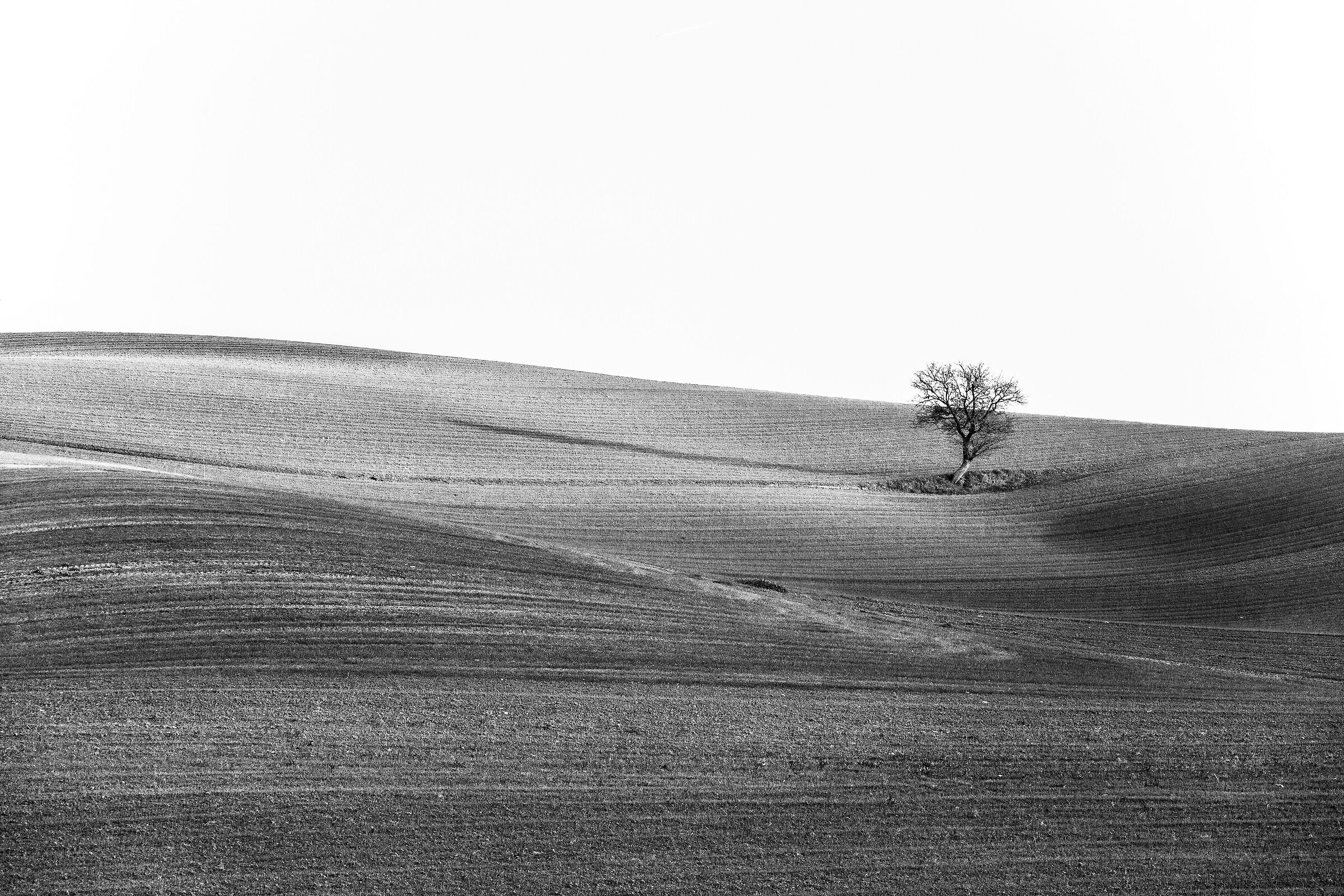 Basilicata 4 - Solitaire in Black and White
