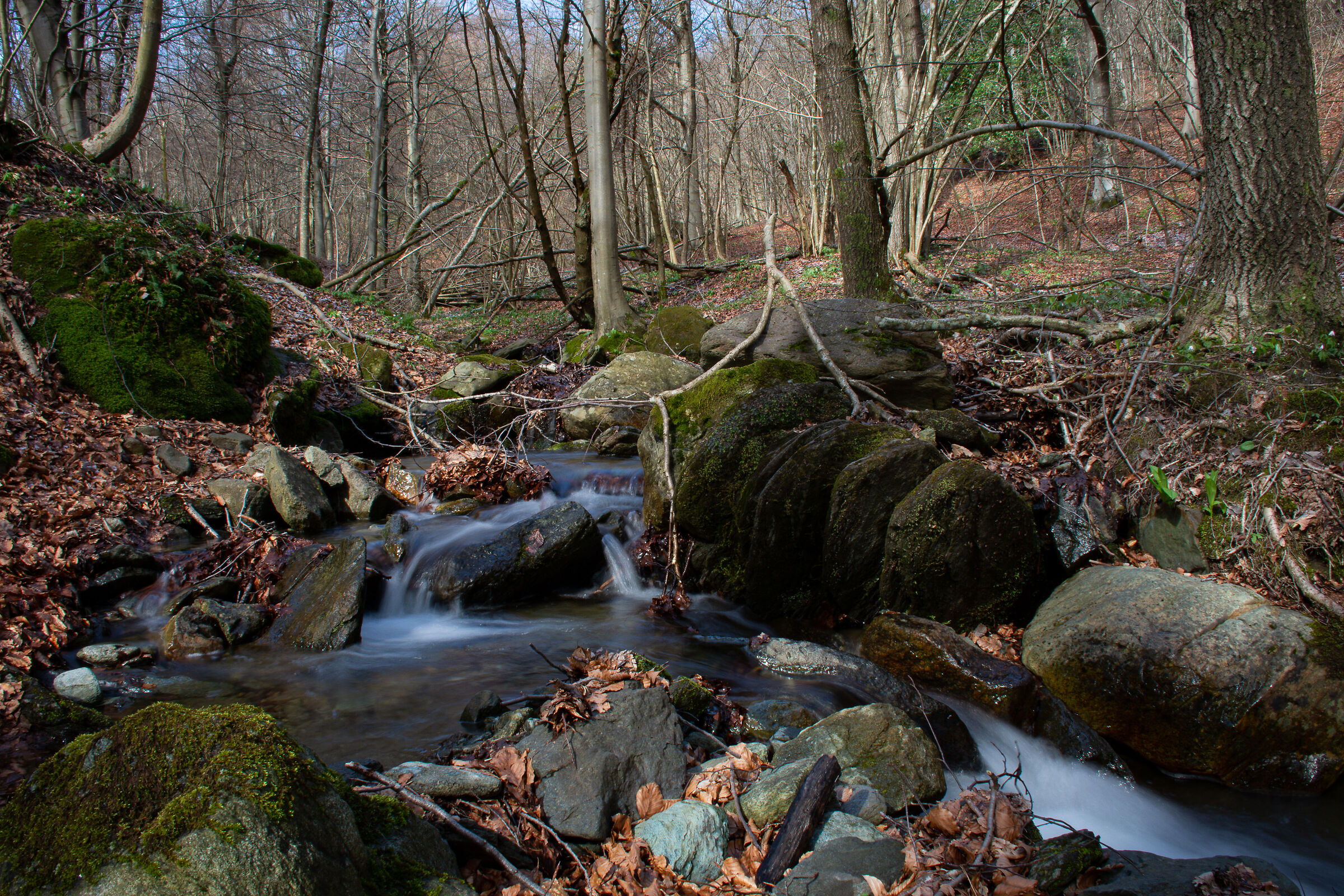 Il ruscello sul Begua