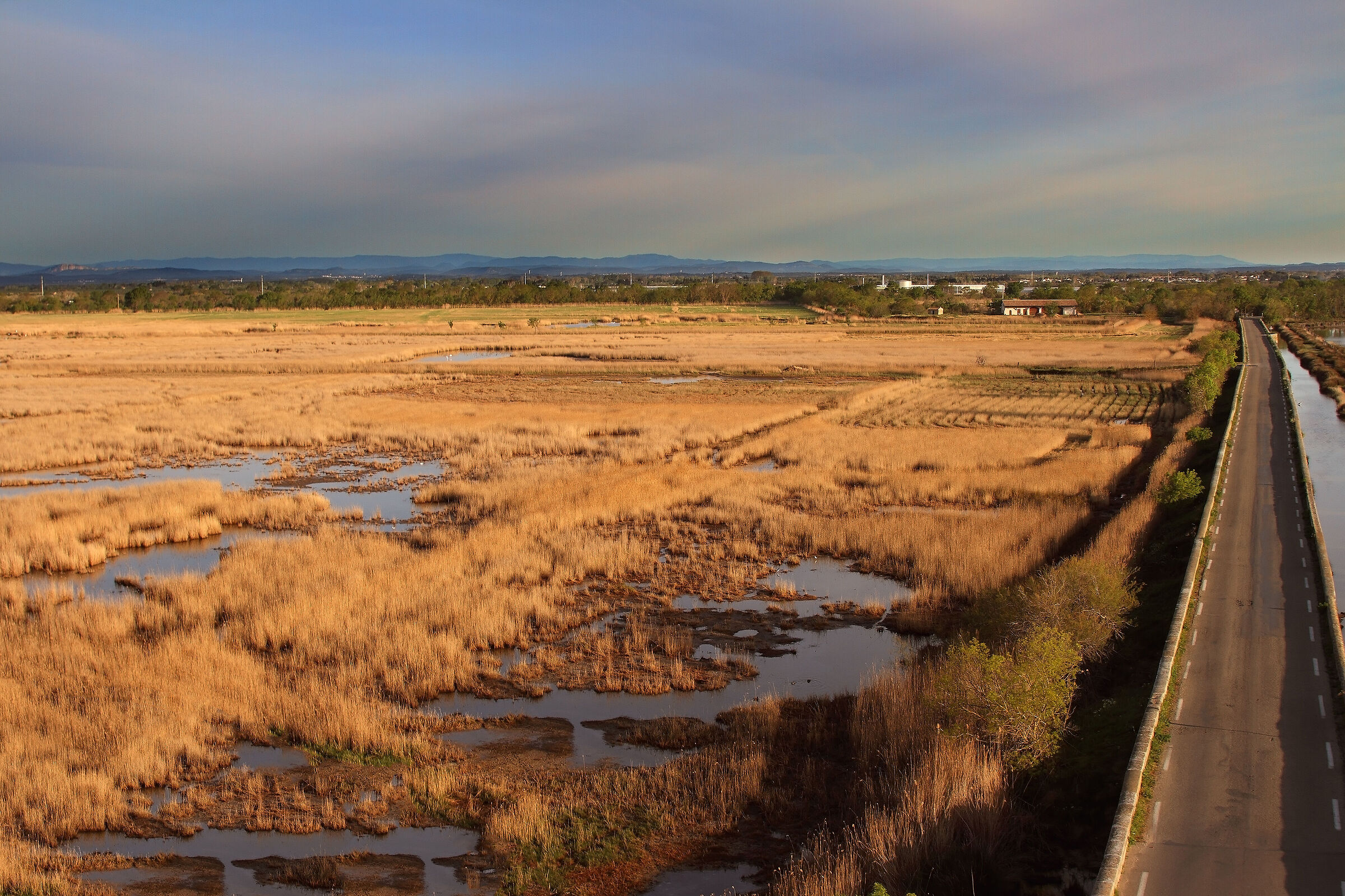 l'aube dorée sur la Camargue gardoise