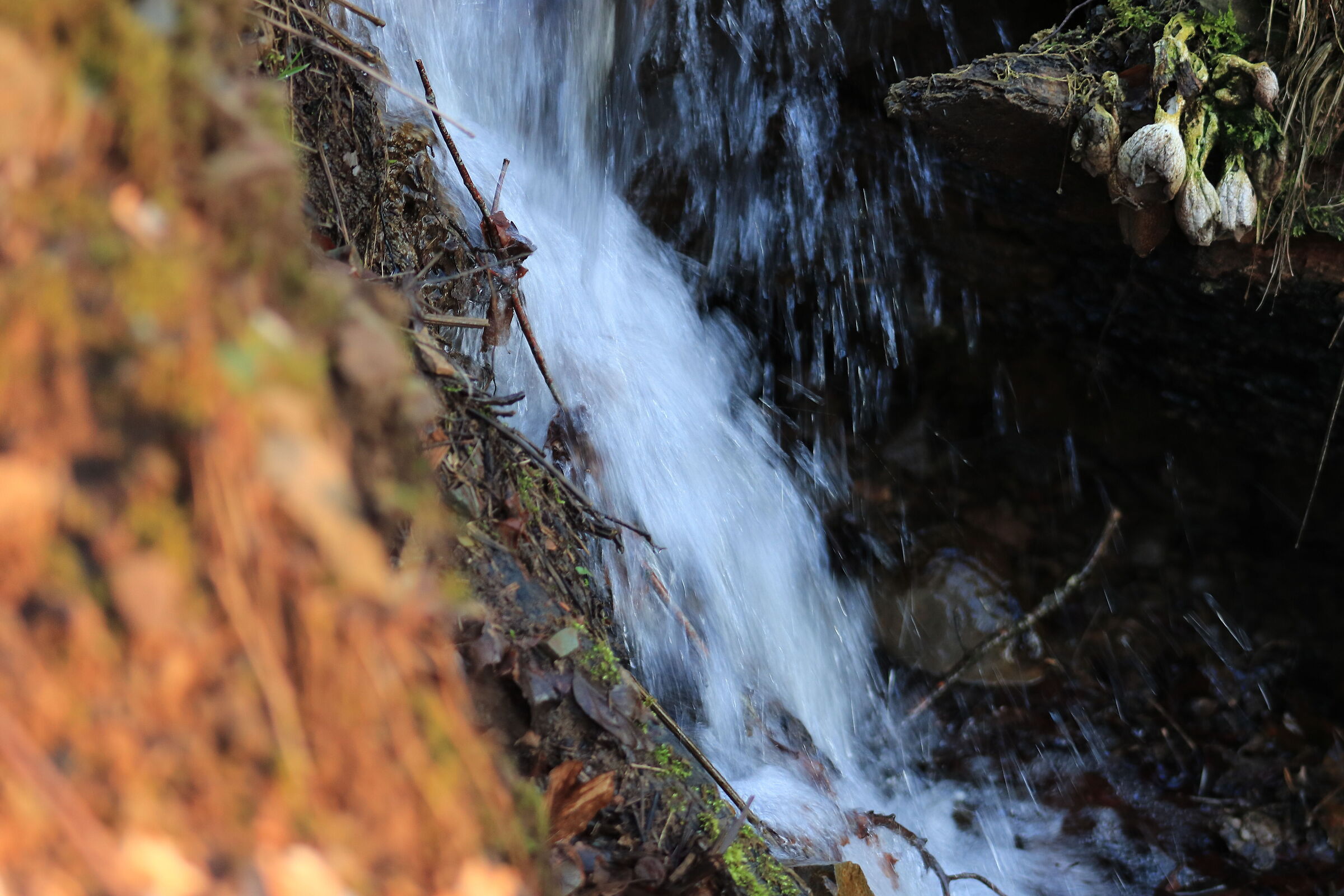 The source