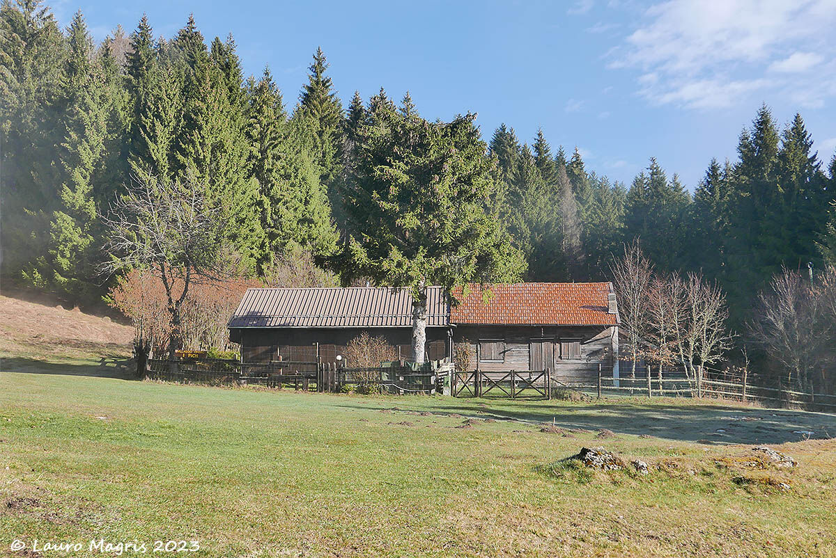 Pich di prima mattina