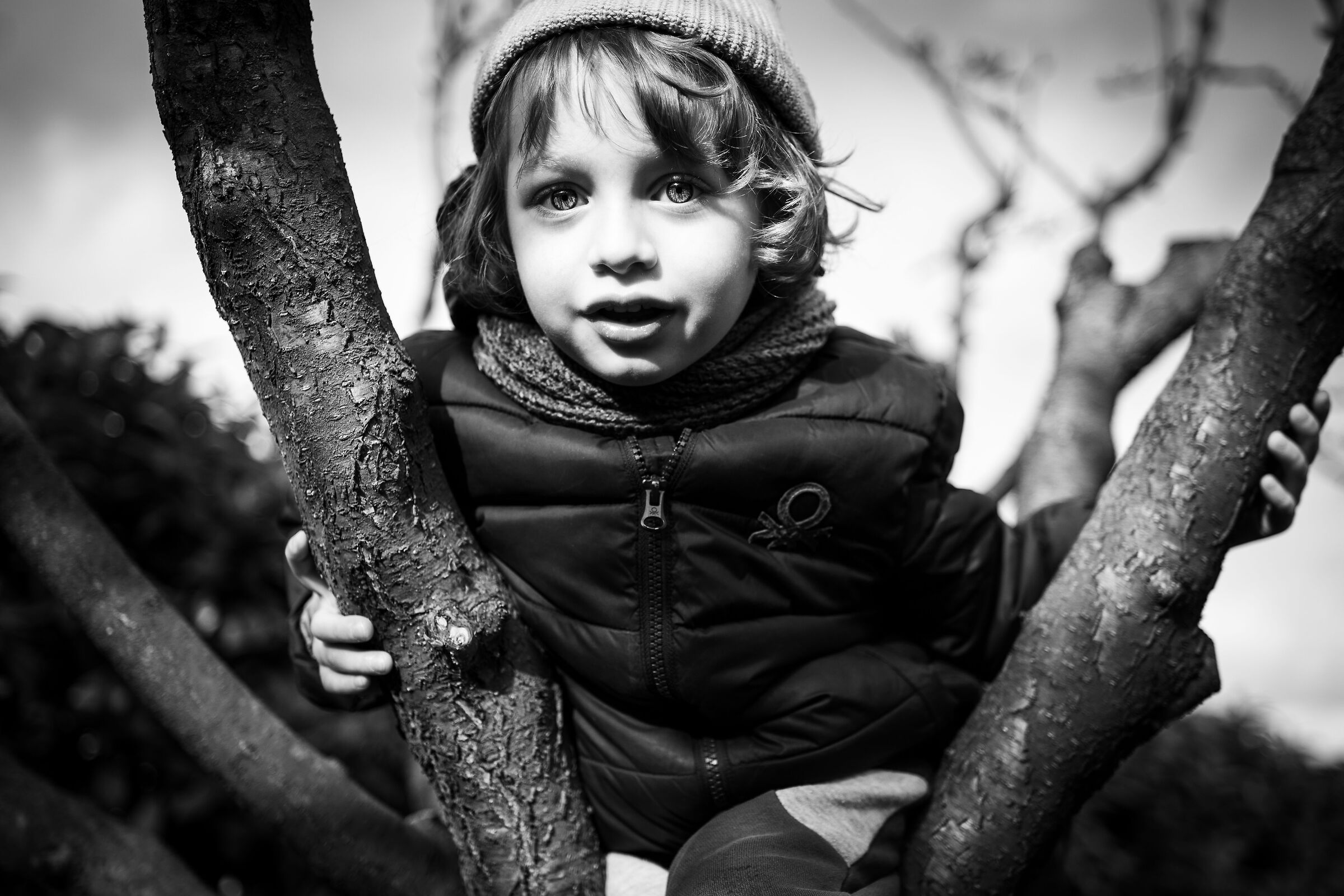 From a tree, earth is different