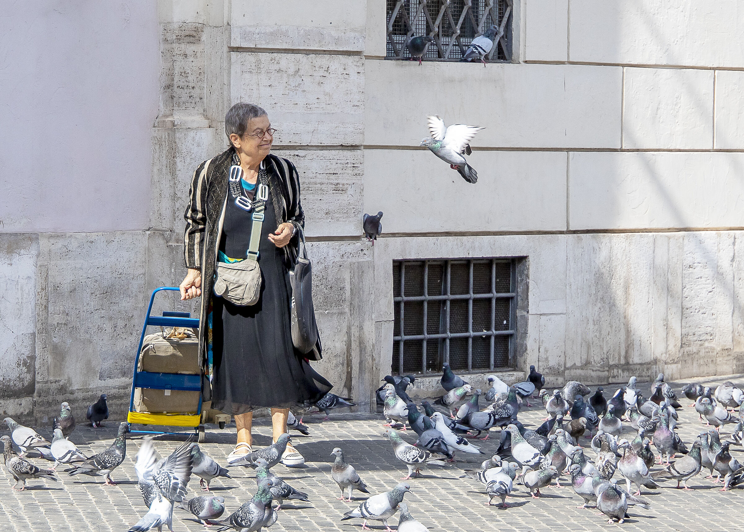 The Lady of the Pigeons...