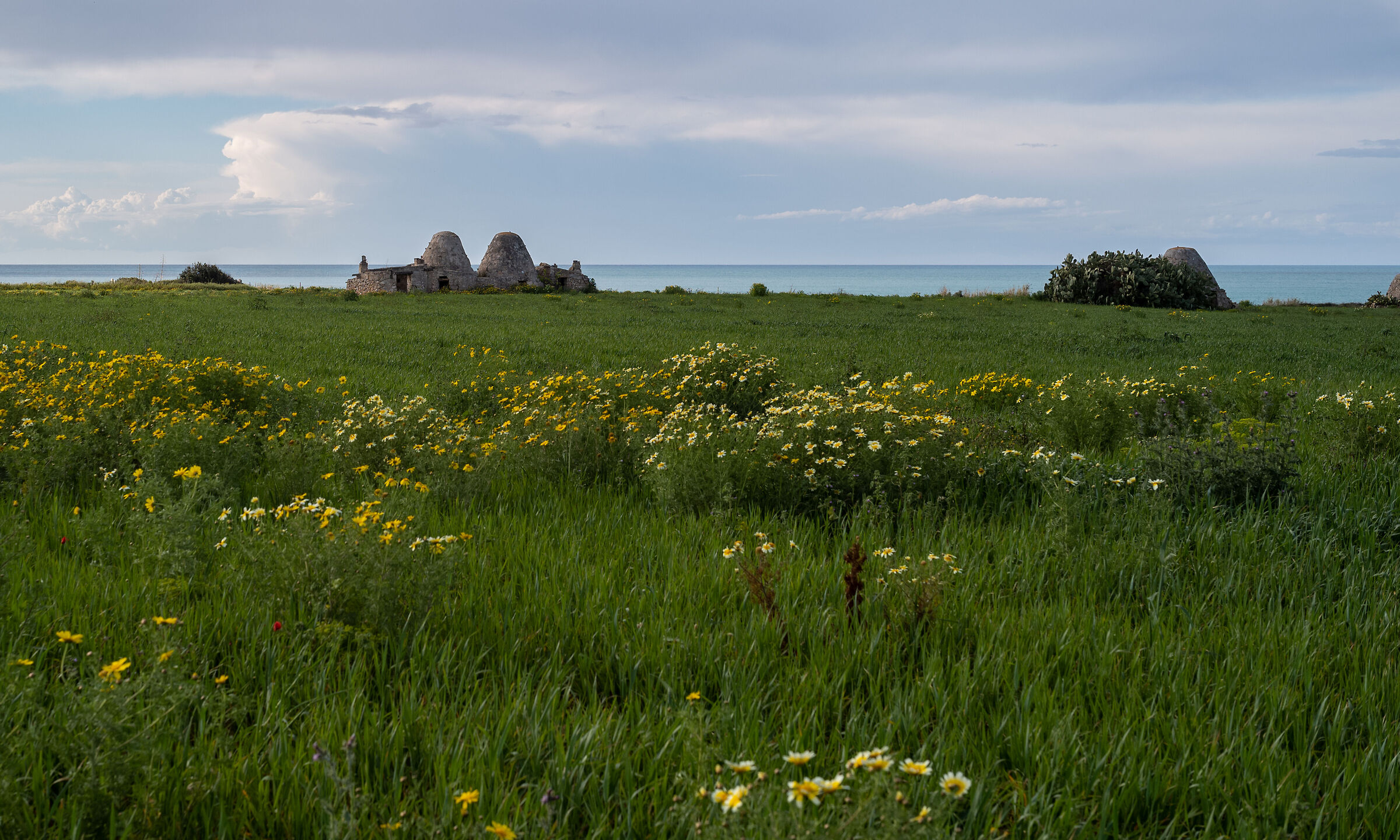 I colori della Puglia 4