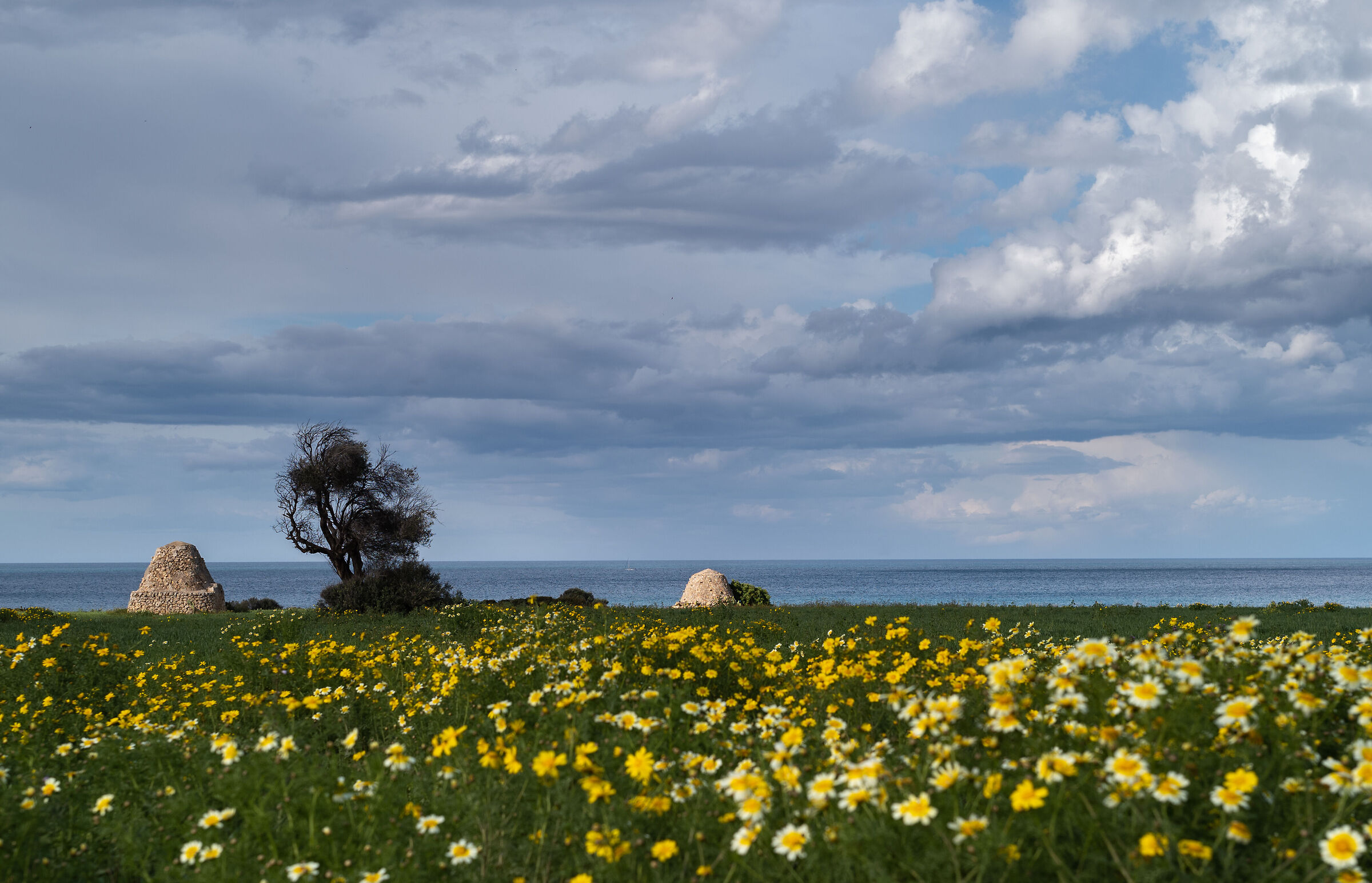 I colori della Puglia 5