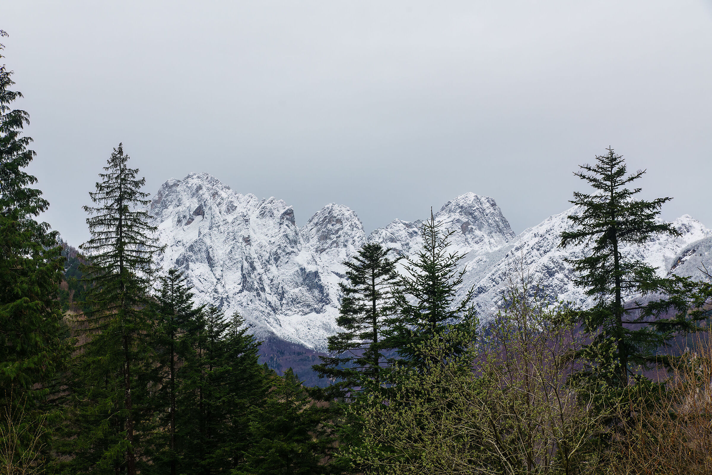 Nevicata primaverile