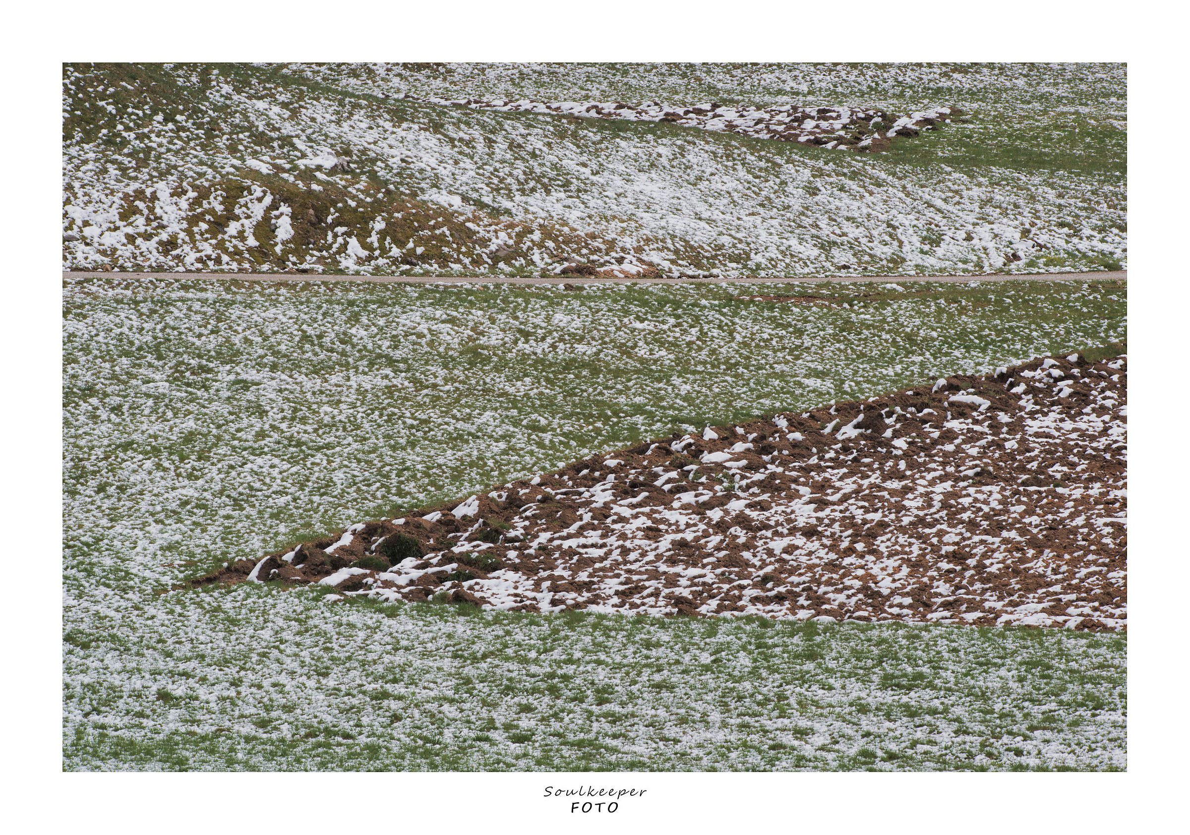 This is also spring...!