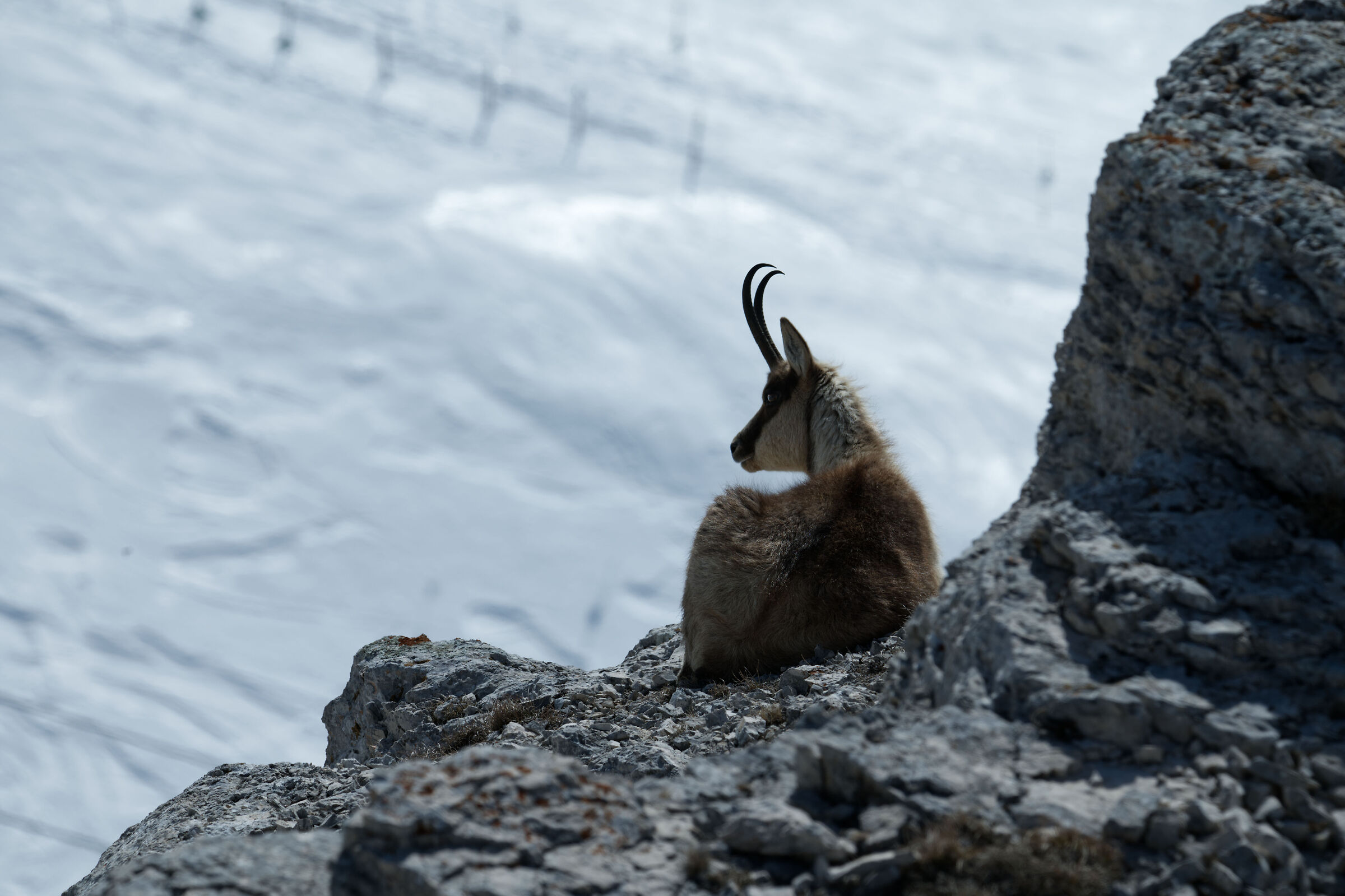 Above the slopes