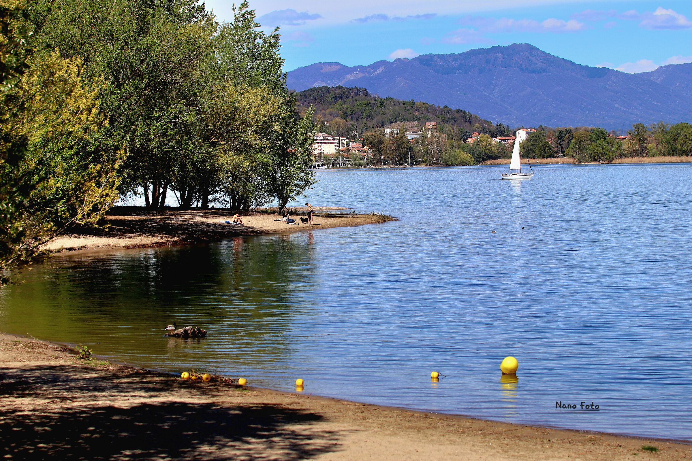 Arona