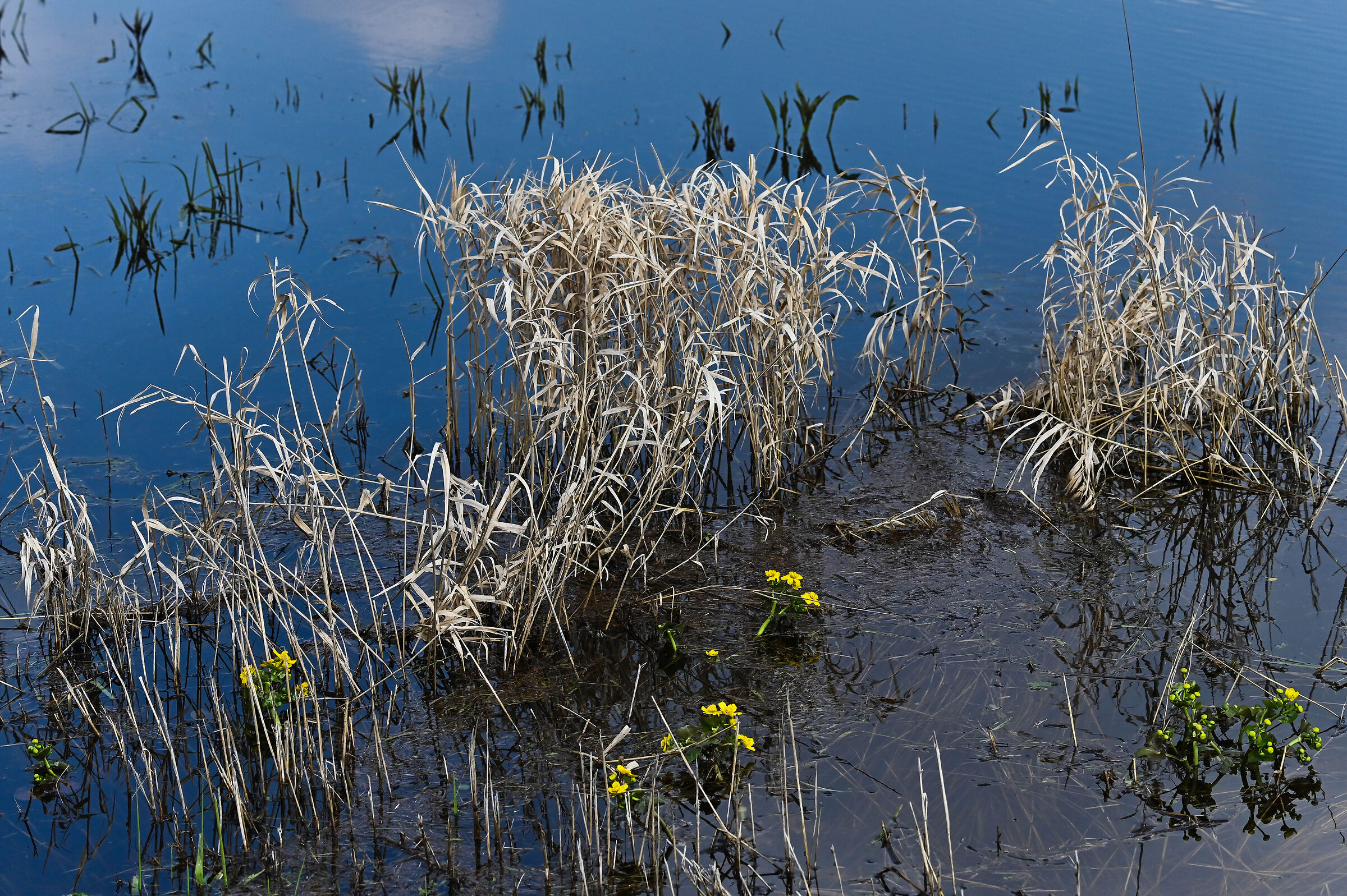 La valle del fiume Bug Aprile 2023