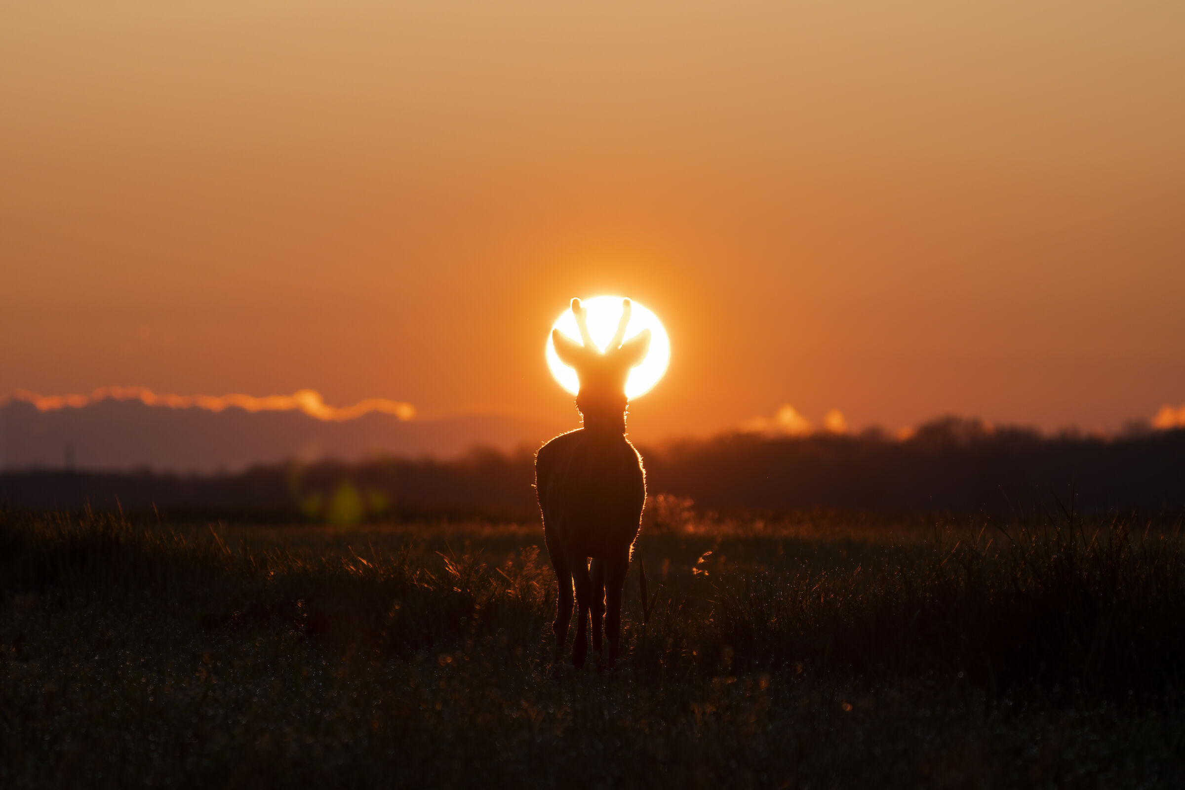Beautiful as the sun