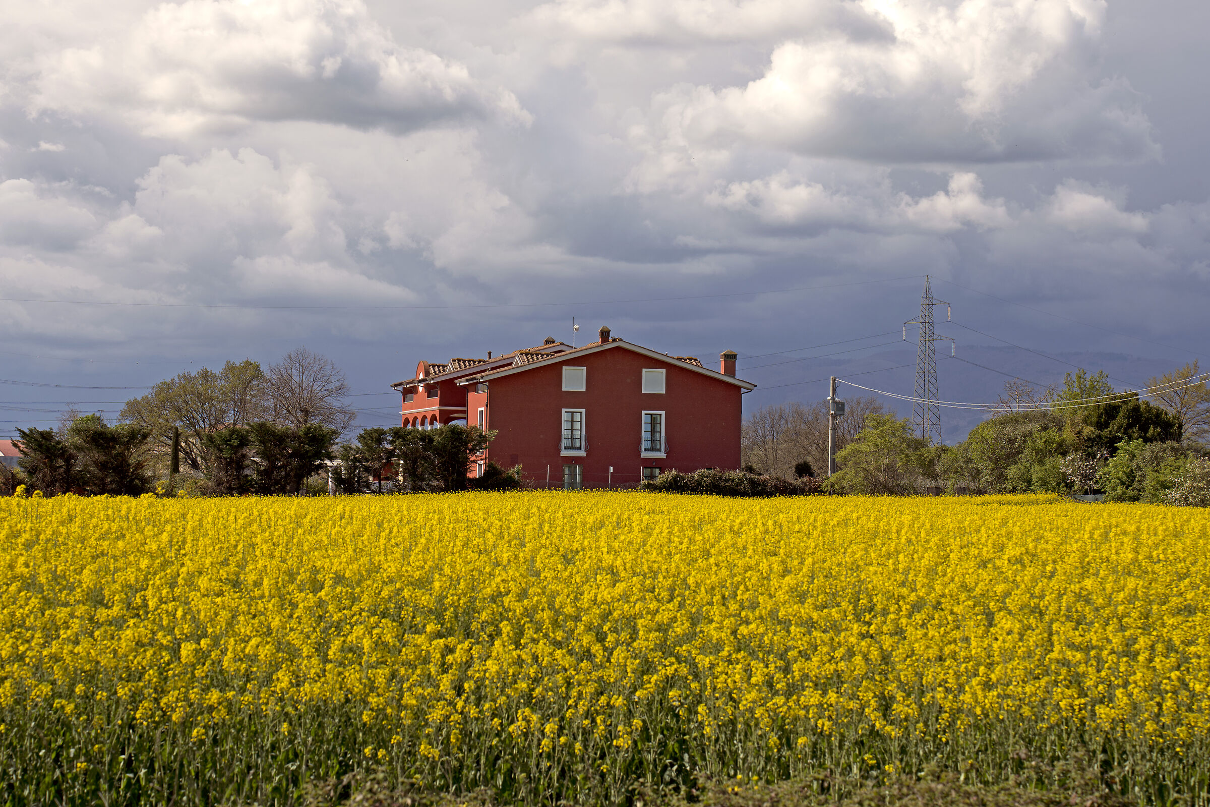 The farmhouse