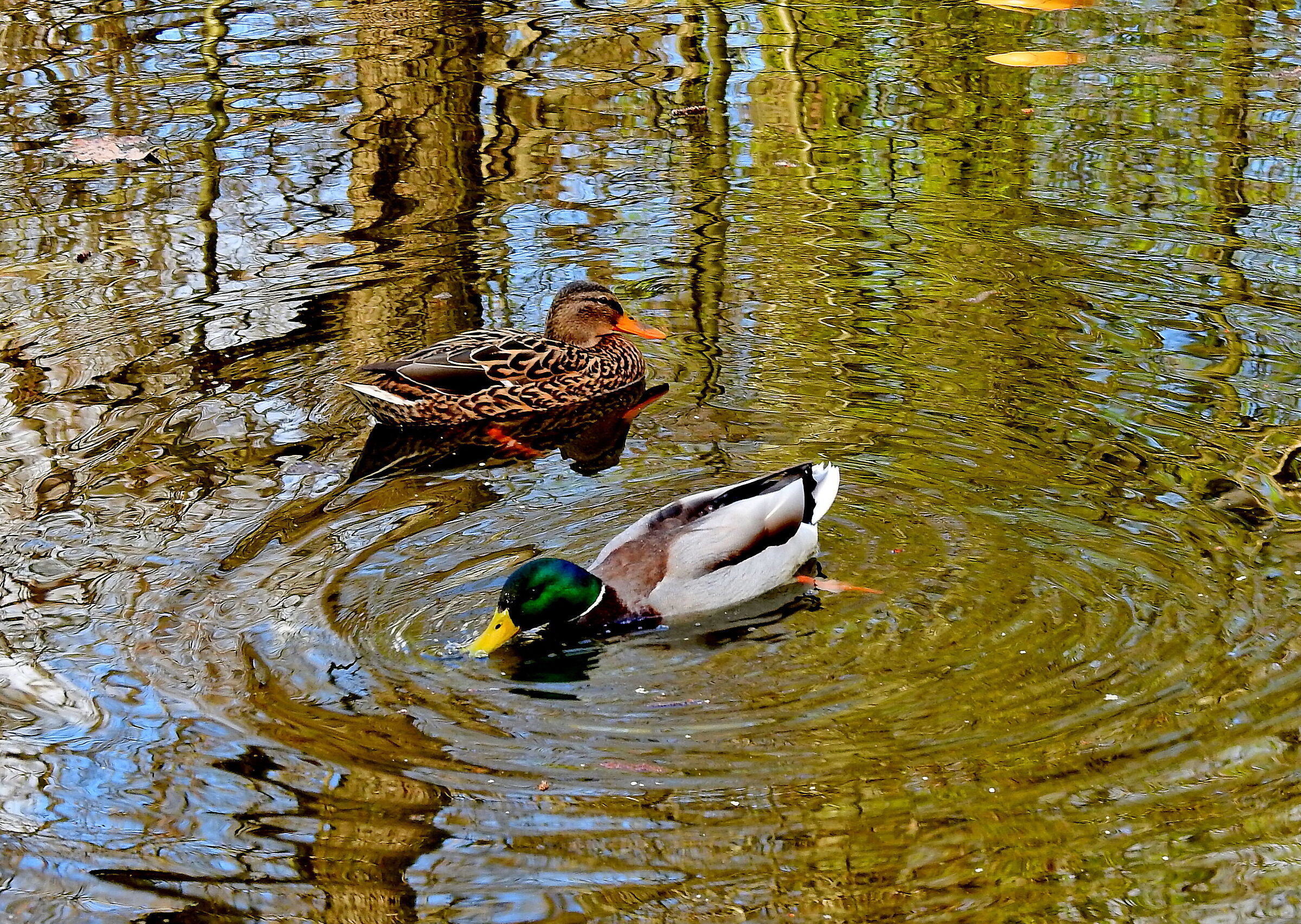 La primavera a Varsavia