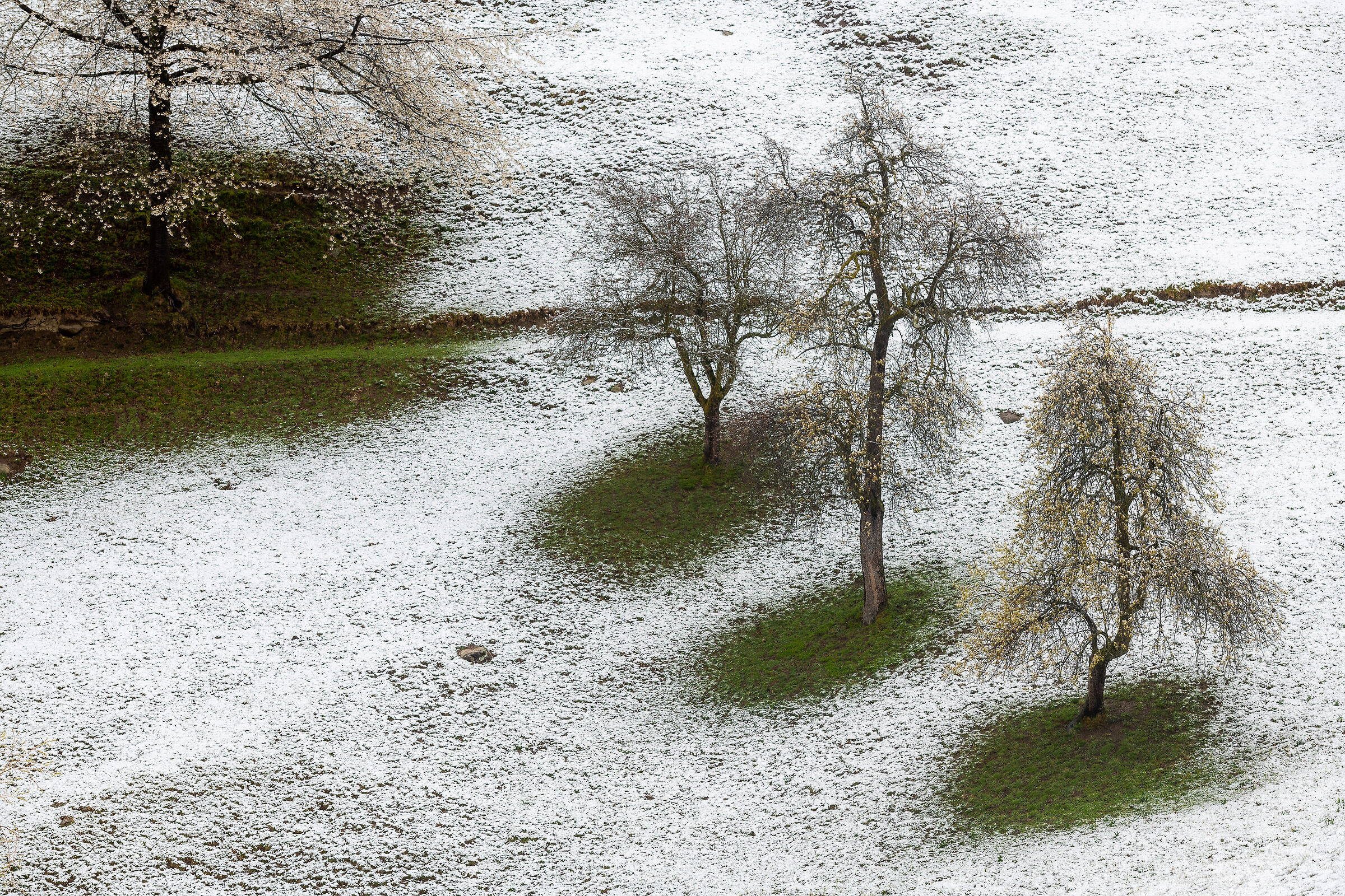 Tra inverno e primavera