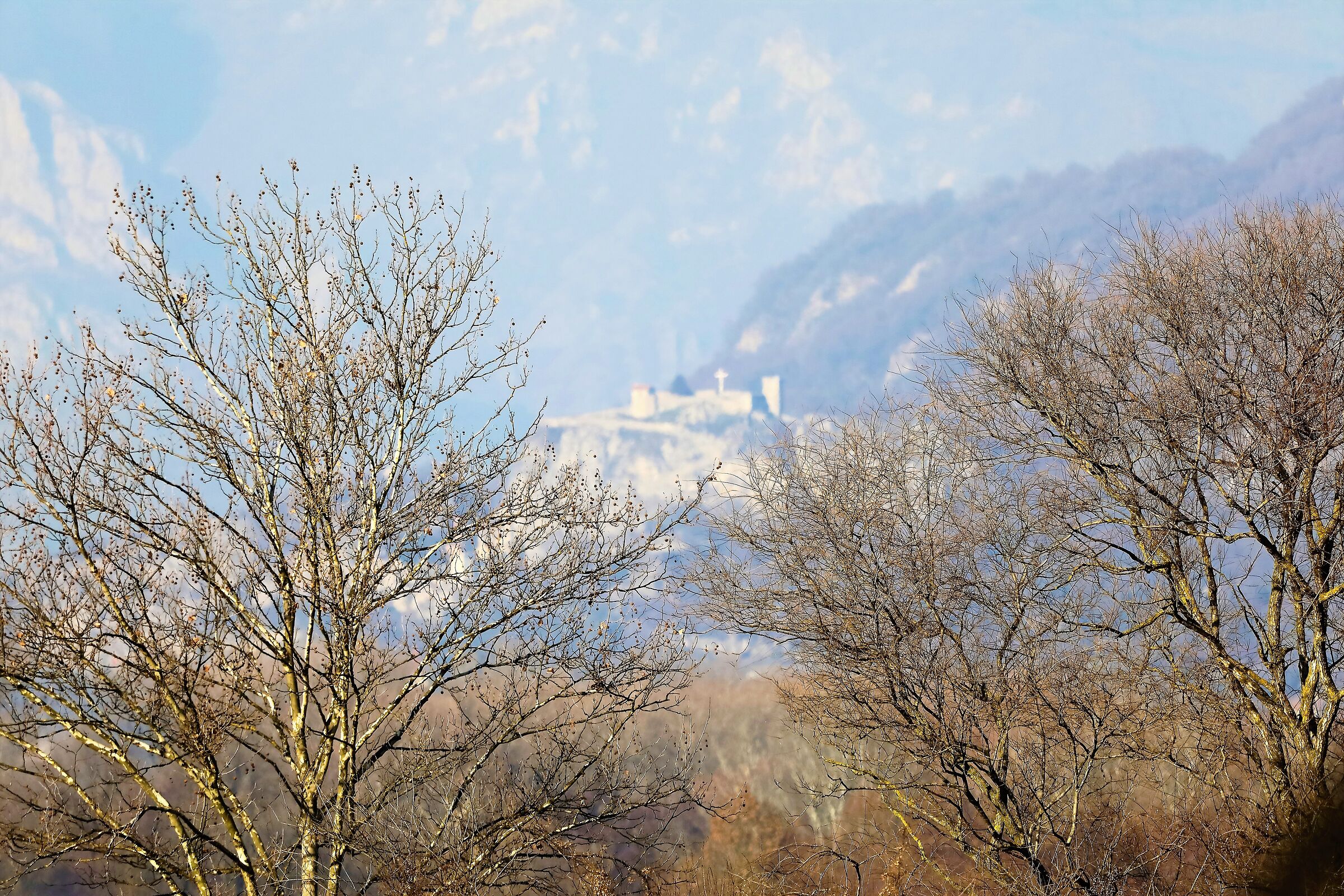 Il Castello 03-02-2023