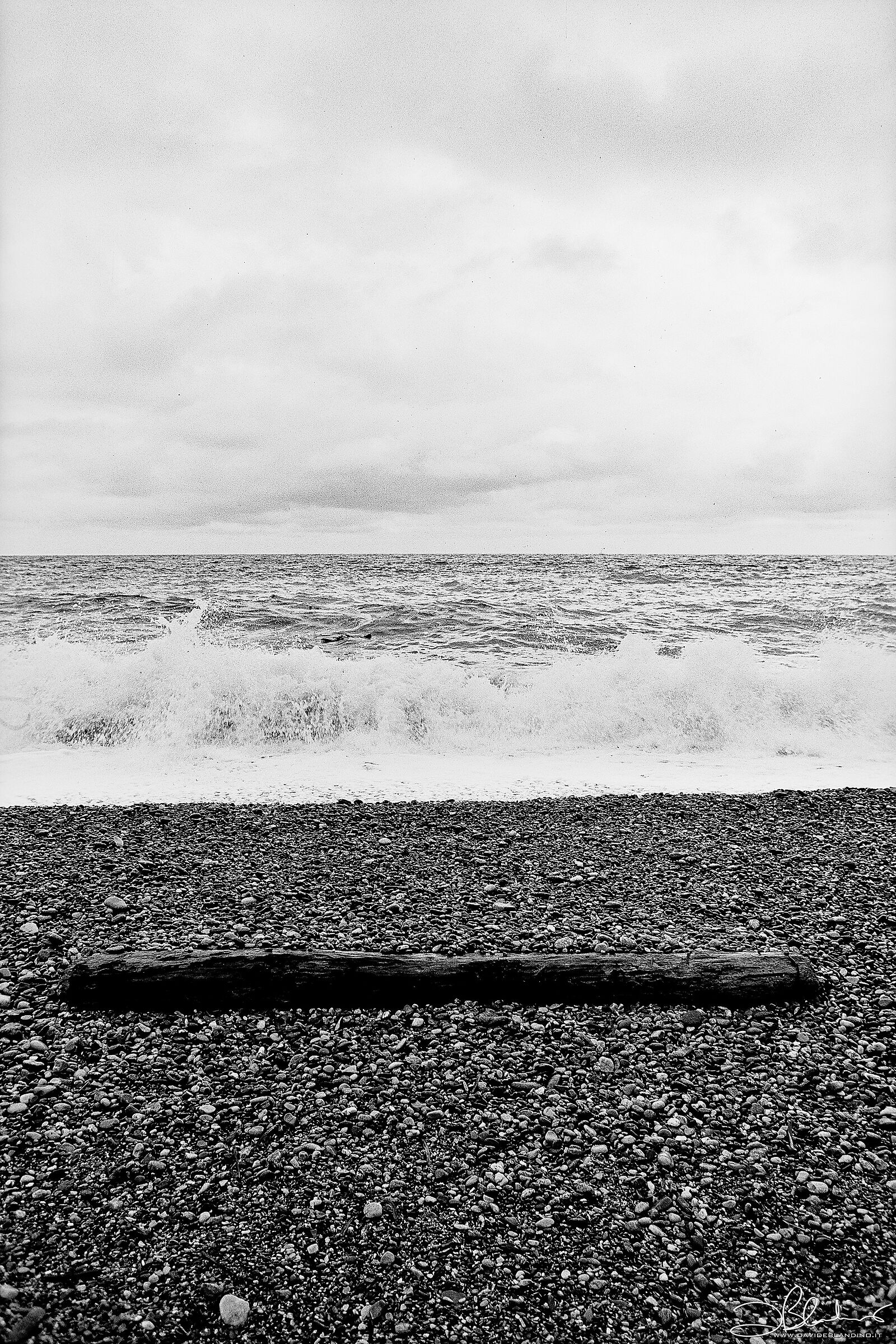 Three bands and one trunk