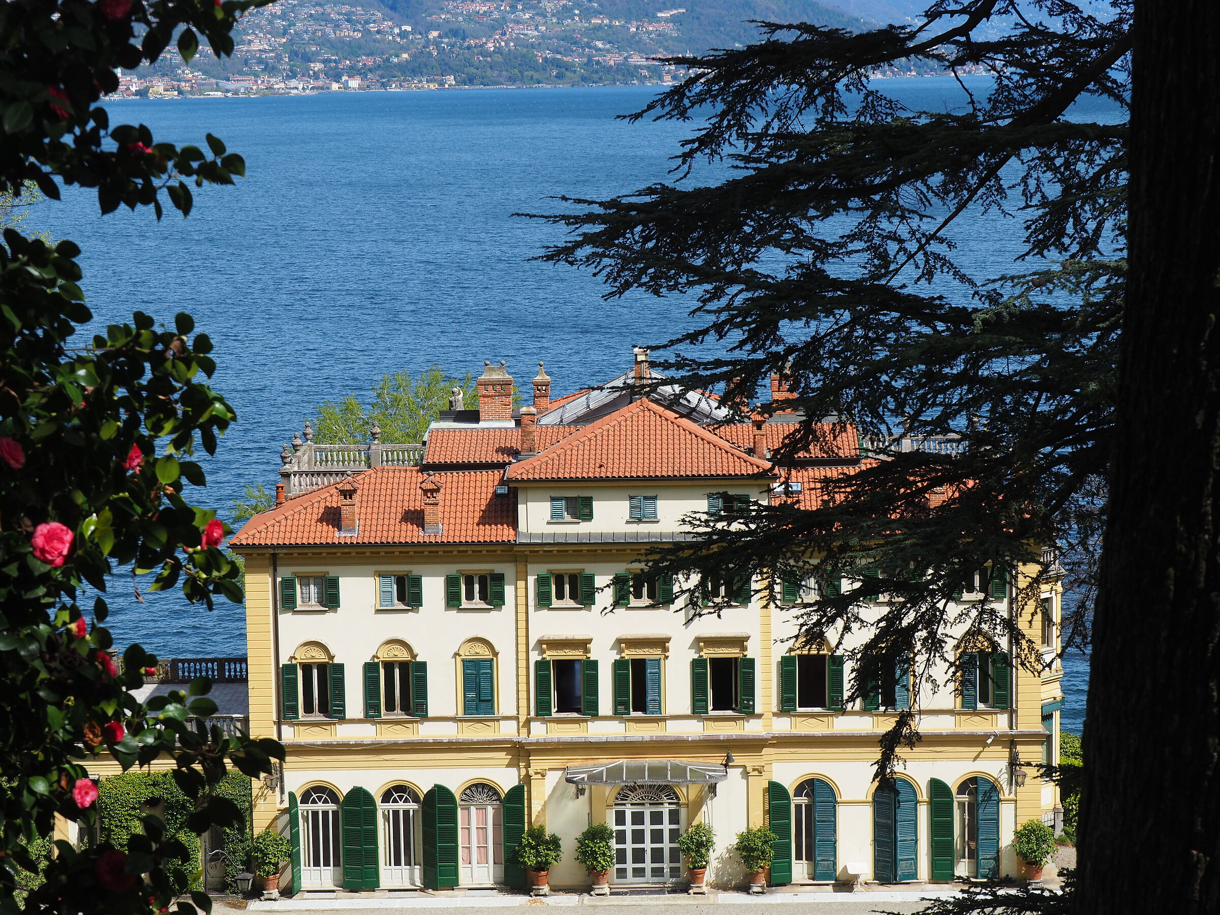 Villa Pallavicino
