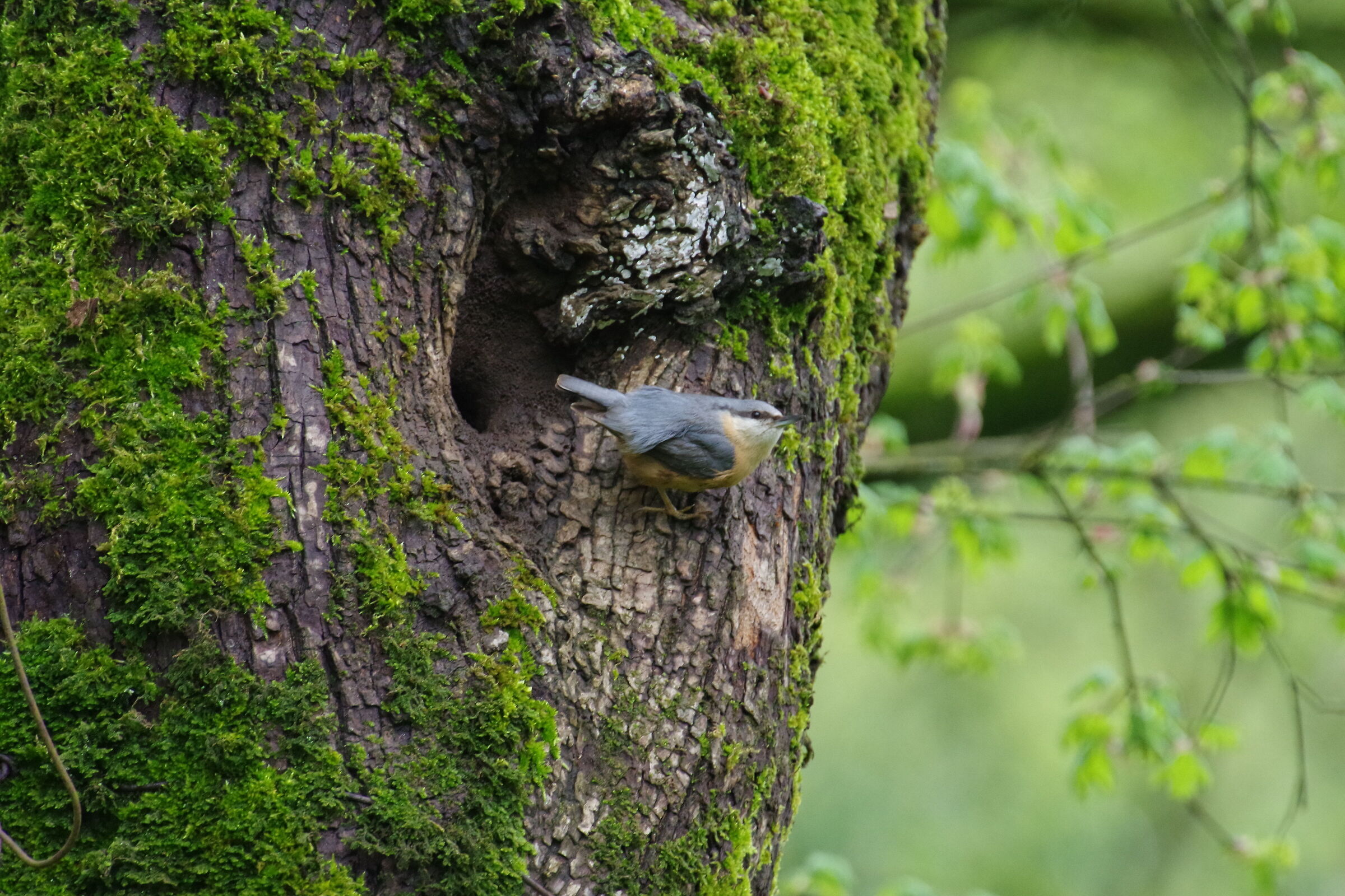 prepararsi al decollo