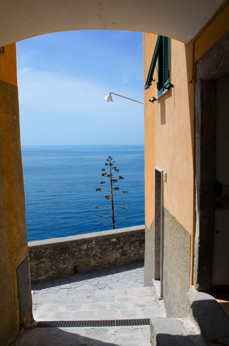 Sea view from Corniglia